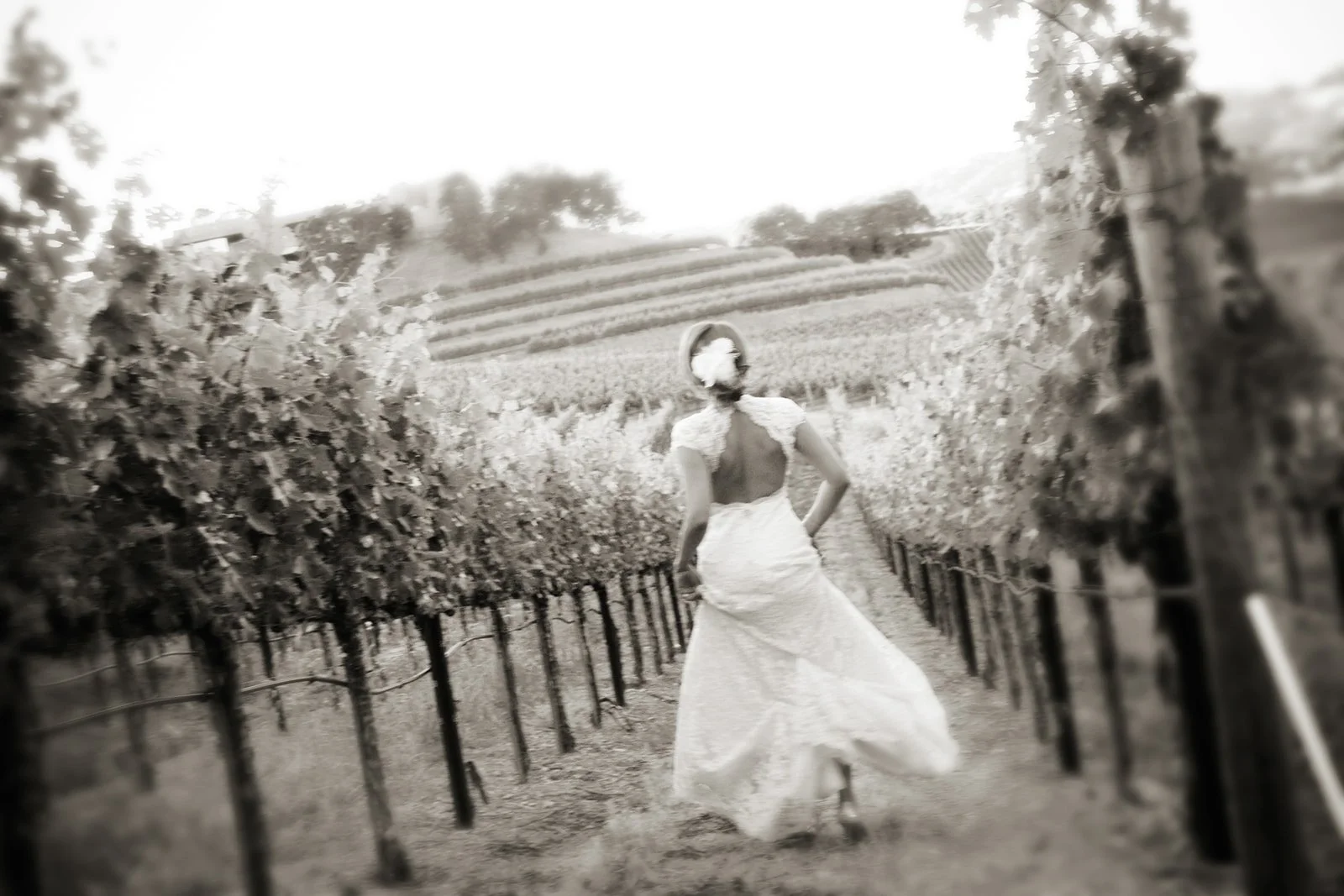 Wine-Cave-Wedding-Photography-Julie-Mikos-West-Michigan-353.jpg