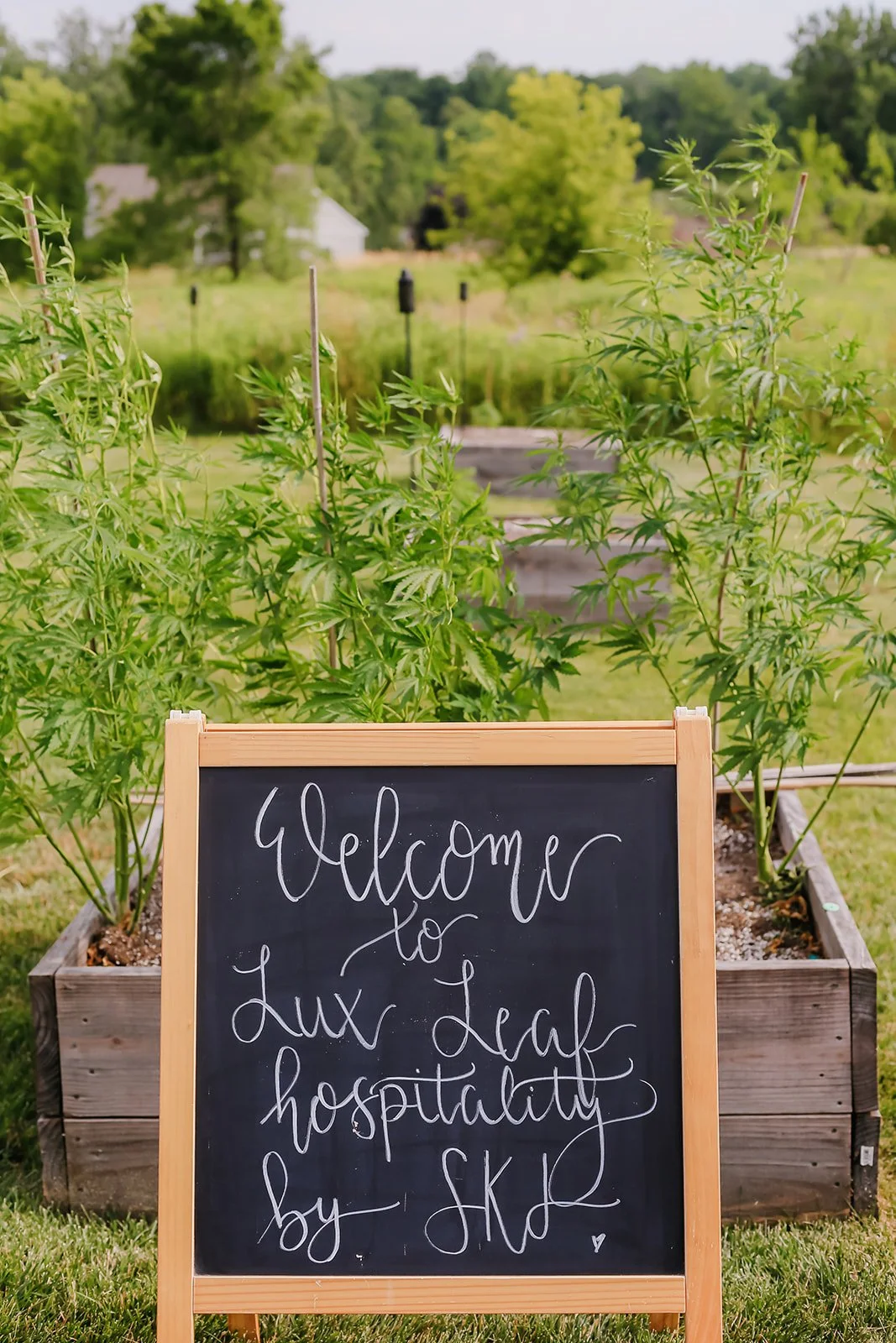 Southland Farms_Lux Leaf Launch Party-22.jpg
