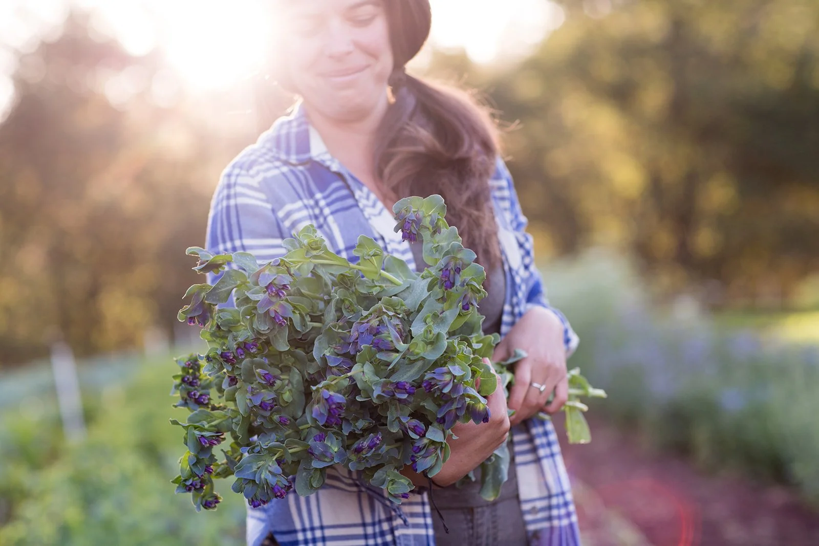 A woman in a blue plaid shirt holding a bunch of purple and green flowering plants outdoors during sunset.
