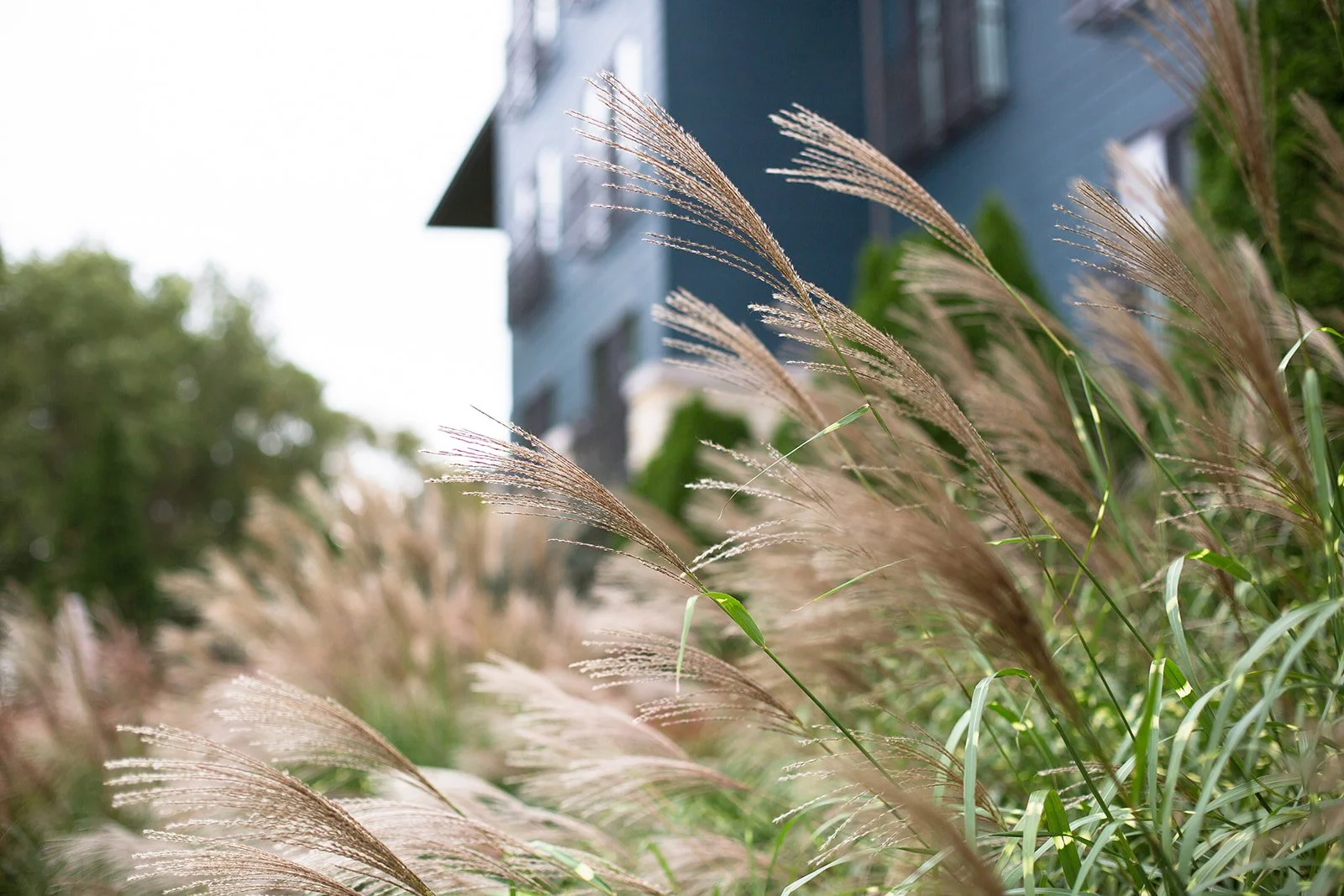 West-Michigan-Resort-Restaurant-Hotel-Brand-Lifestyle-Photography-Julie-Mikos-Midwest-236.jpg