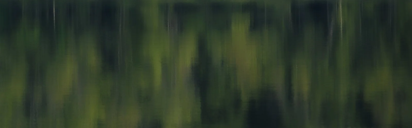 Fine-Art-Abstract-Nature-Photography-Julie-Mikos-West-Michigan-6-2_websize.jpg