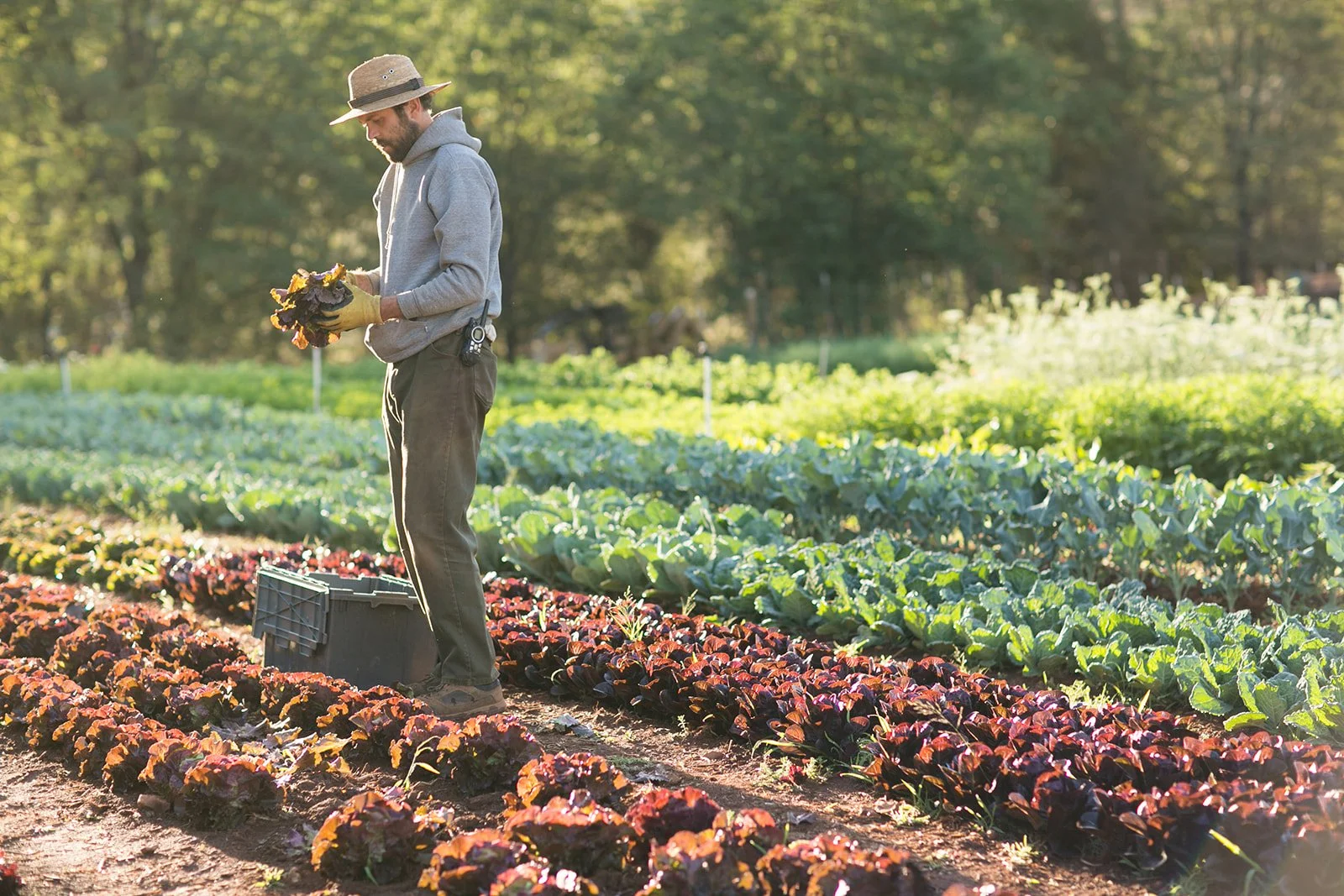 Lifestyle-Brand-Editorial-Farm-Photography-Julie-Mikos-Midwest-West-Michigan-252.jpg