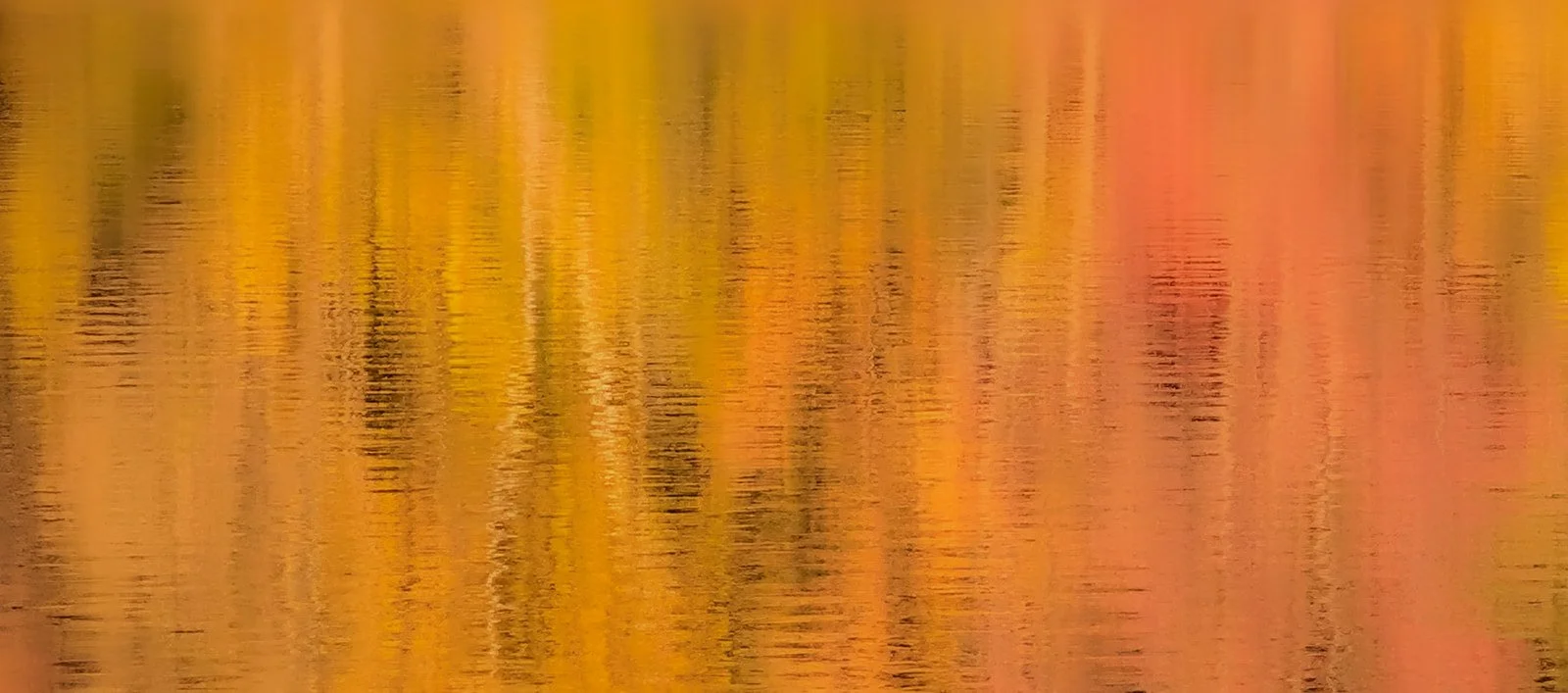 Fine-Art-Abstract-Nature-Photography-Julie-Mikos-West-Michigan-3_websize.jpg
