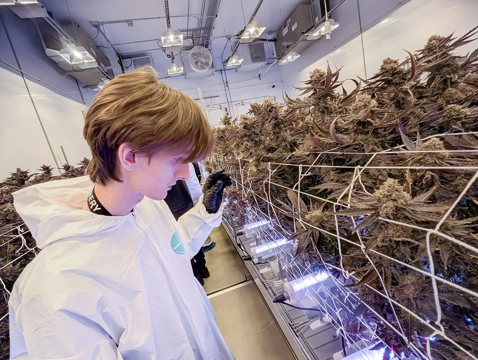 Michigan-Cannabis-Grow-Tour-Photographer-Julie-Mikos-Growing-Pains-Brand-43.jpg