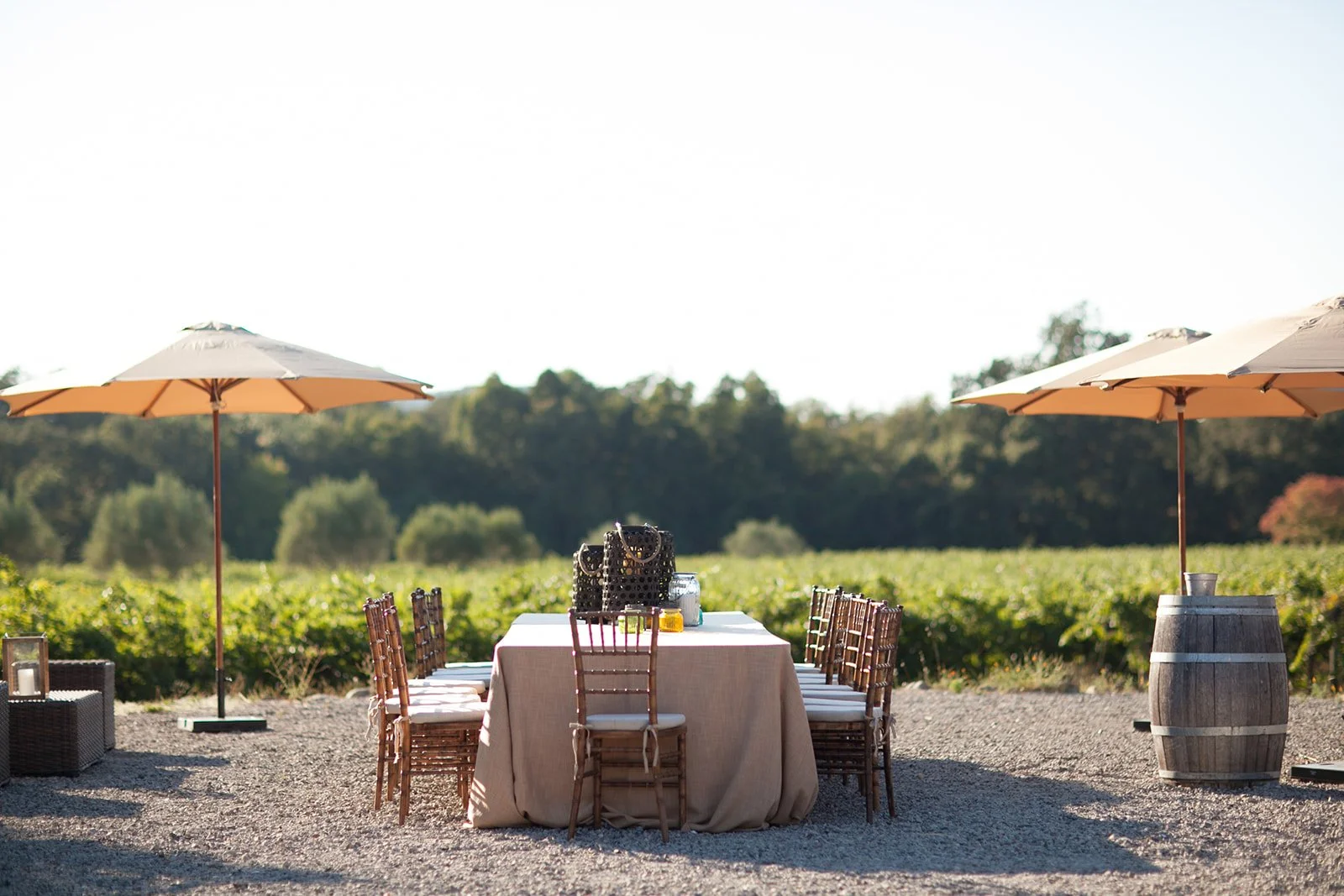 Wine-Industry-Event-Editorial-Lifestyle-Photographer-Julie-Mikos-Southwest-Michigan-69.jpg