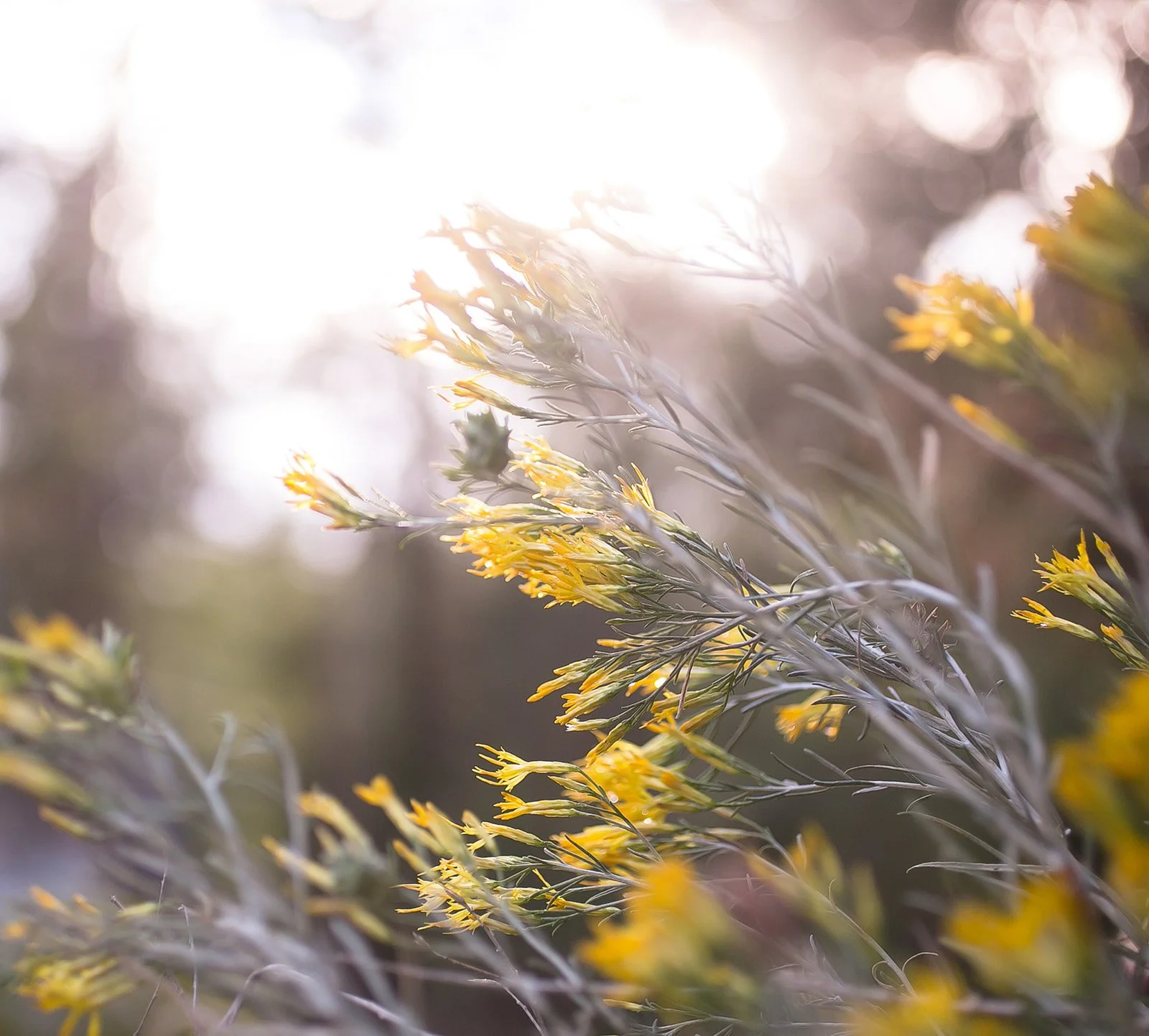 West-Michigan-Retreat-Brand-Lifestyle-Photography-Julie-Mikos-Midwest-9.jpg