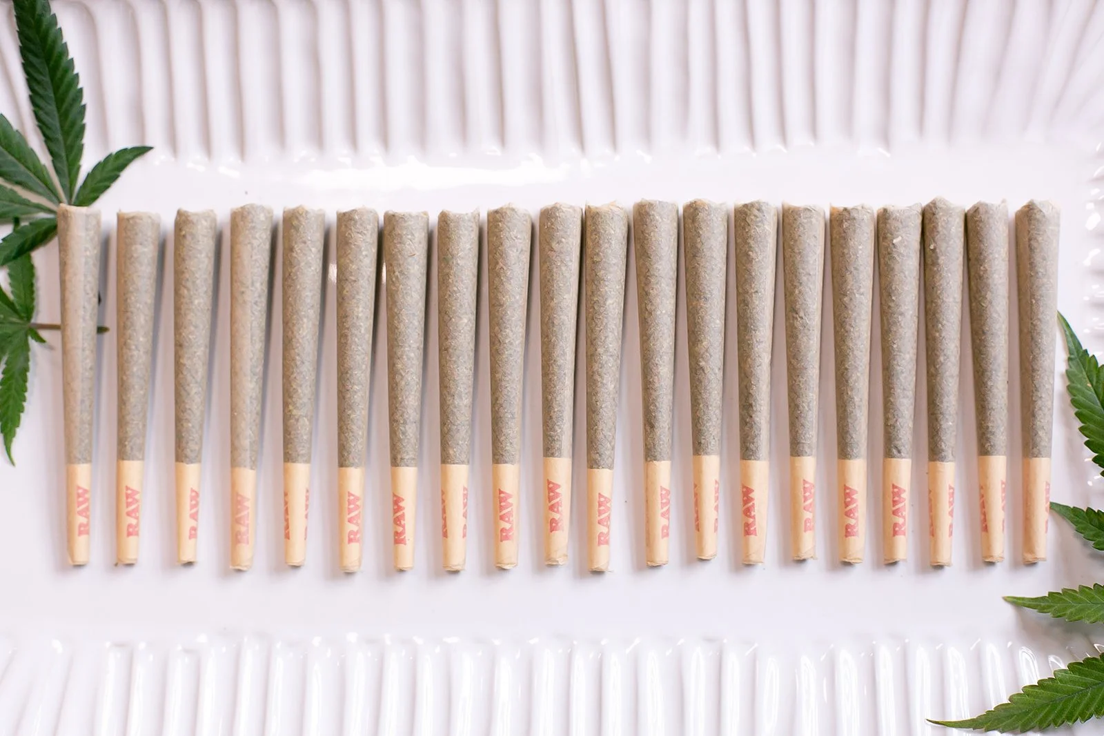Midwest-Cannabis-Brand-Photographer-Julie-Mikos-Michigan-8.jpg