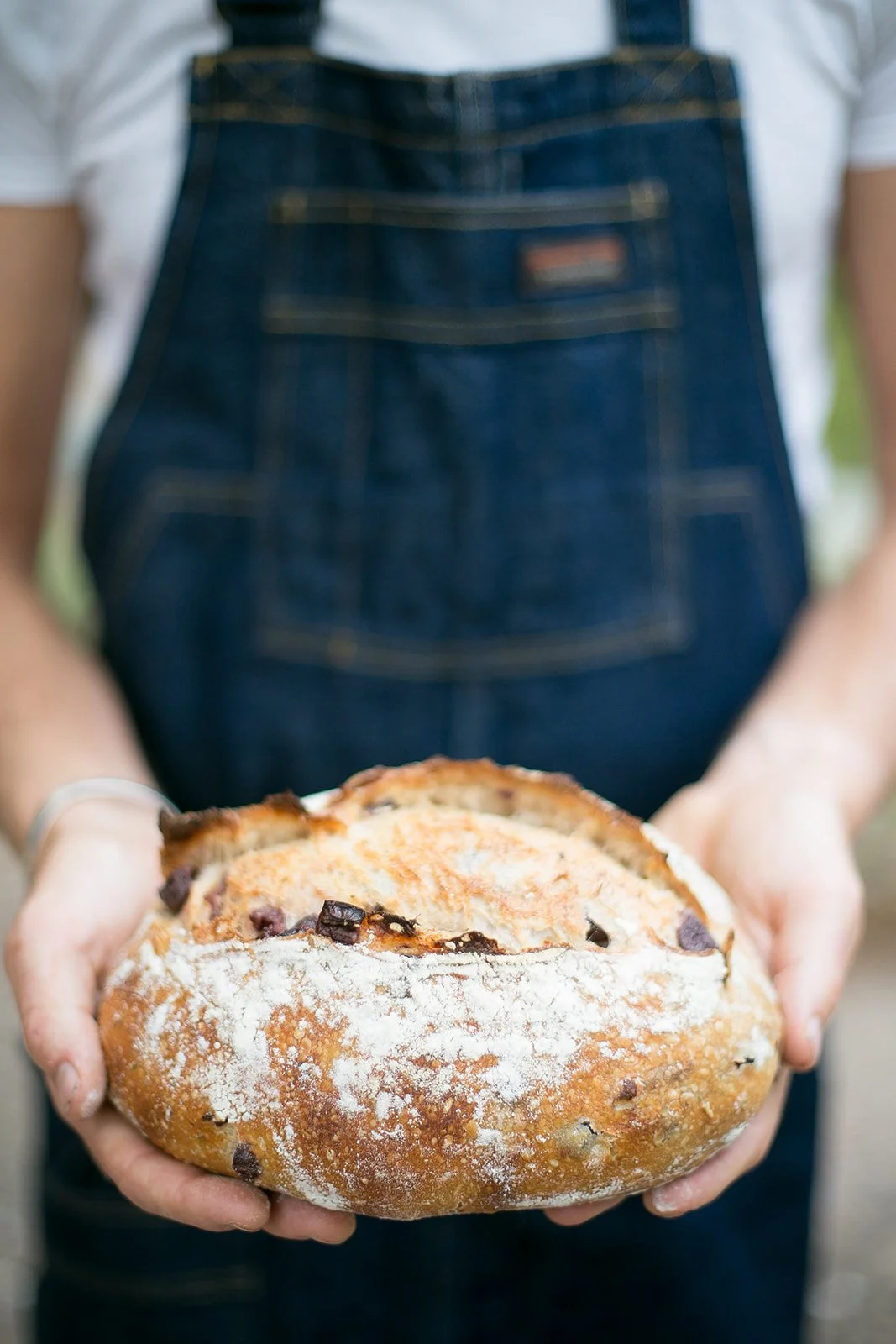 Person wearing a denim apron holding a freshly baked round loaf of bread with chocolate chips.