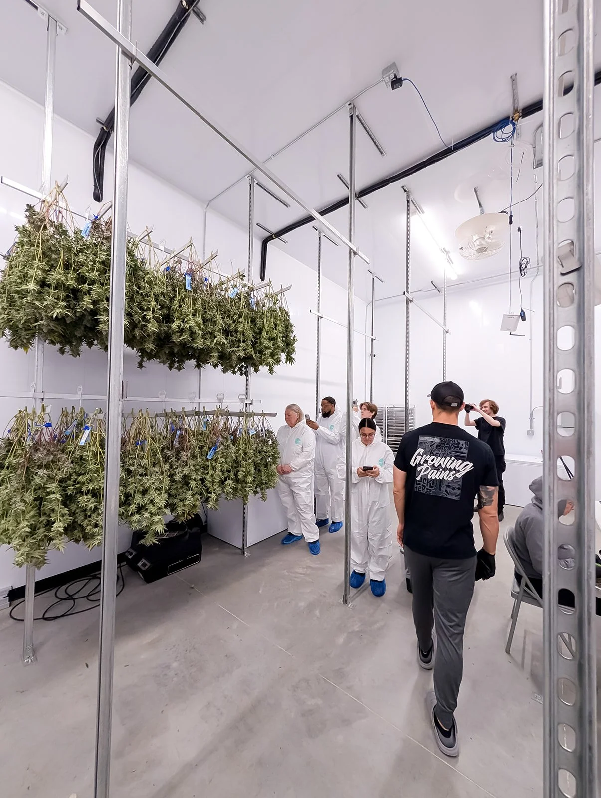 Michigan-Cannabis-Grow-Tour-Photographer-Julie-Mikos-Growing-Pains-Brand-10.jpg