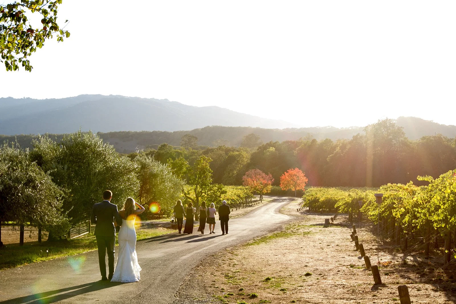 West-Michigan-Winery-Wedding-Photography-Julie-Mikos-Midwest-226.jpg