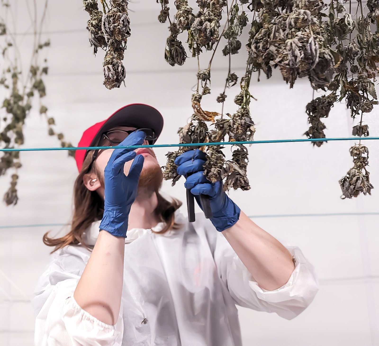 SF_IceCreamCake-6-2.jpg