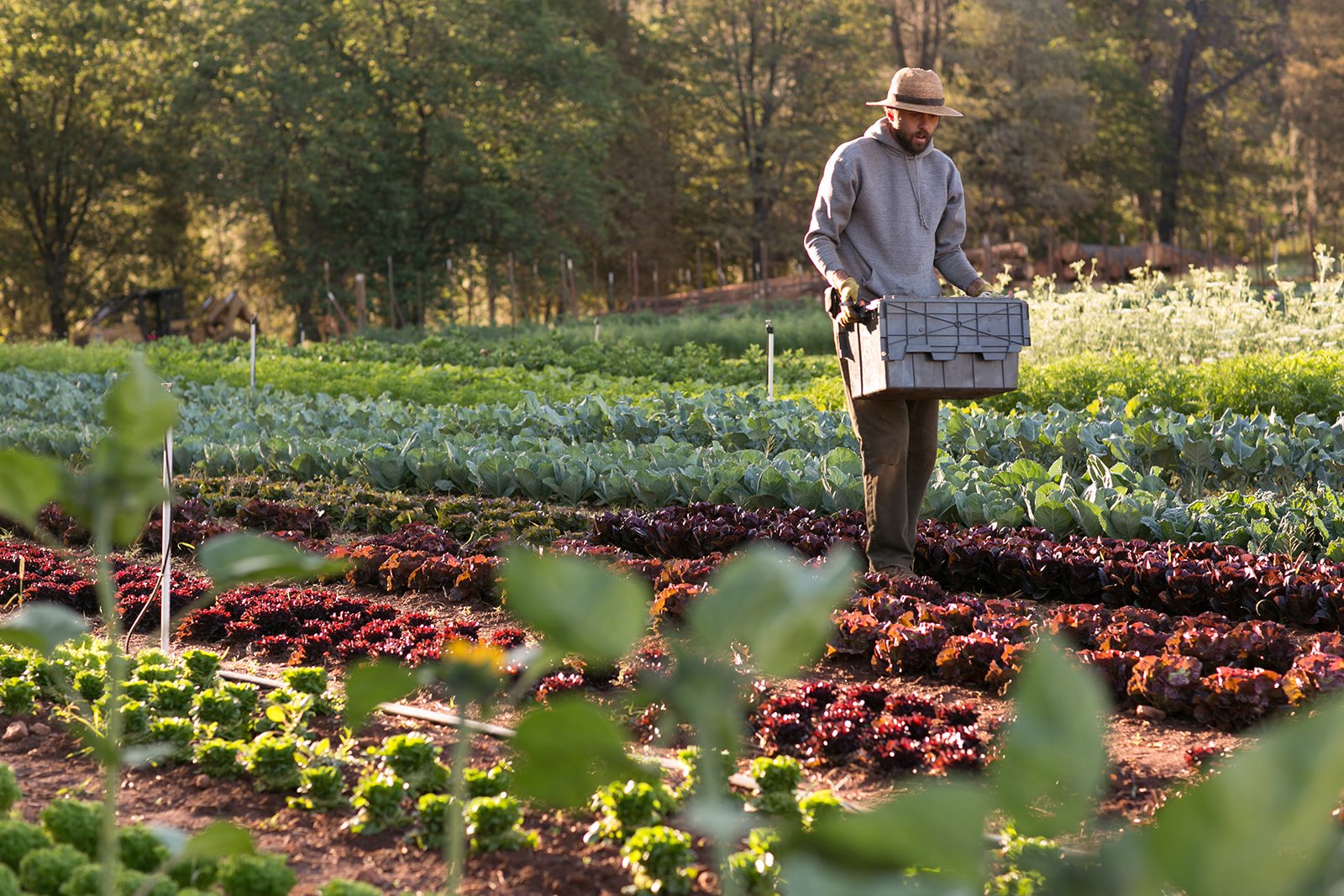 Lifestyle-Brand-Editorial-Farm-Photography-Julie-Mikos-Midwest-West-Michigan-250.jpg