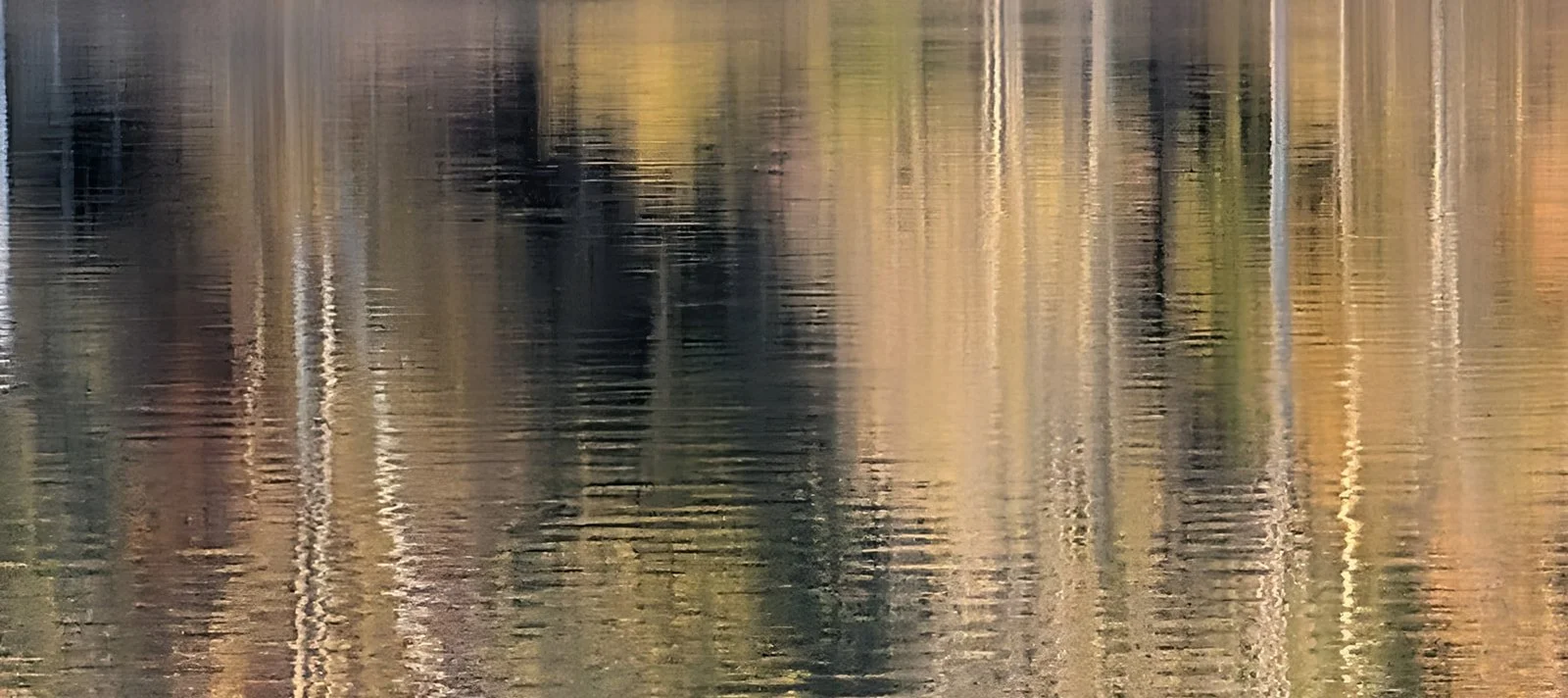 Fine-Art-Abstract-Nature-Photography-Julie-Mikos-West-Michigan-9_websize.jpg