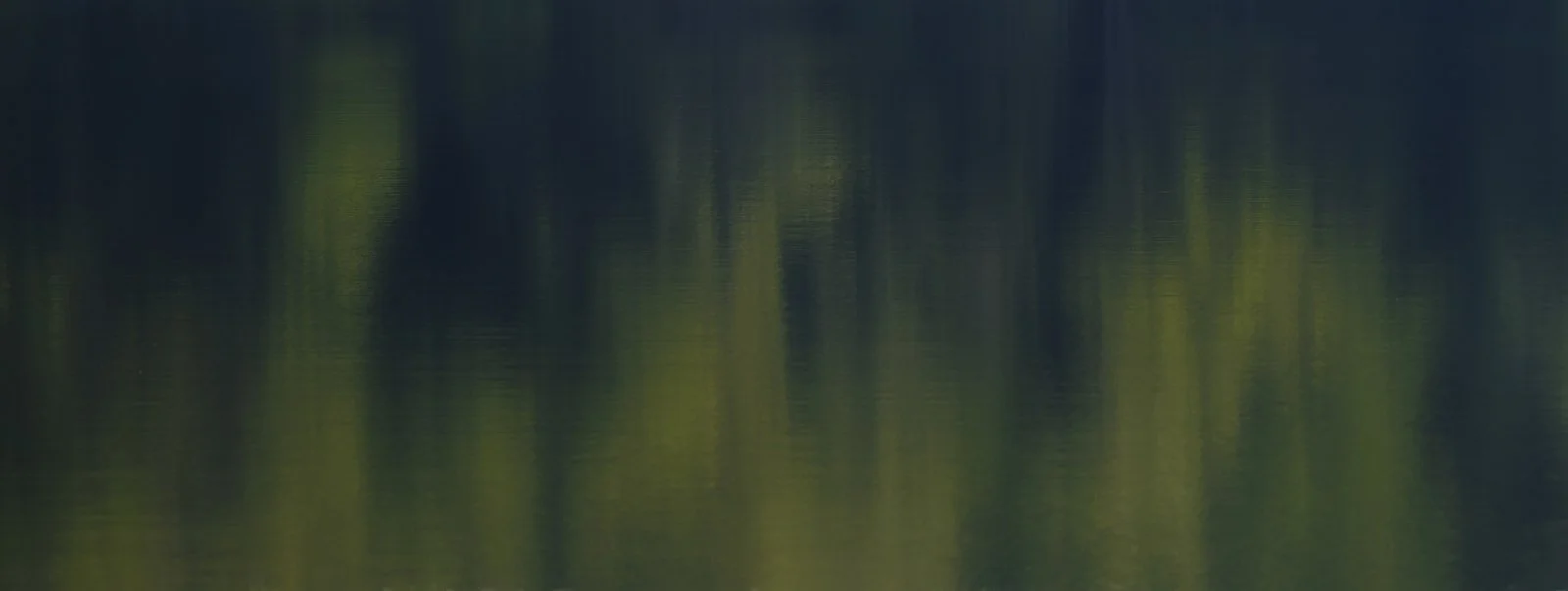 Fine-Art-Abstract-Nature-Photography-Julie-Mikos-West-Michigan-9-2_websize.jpg