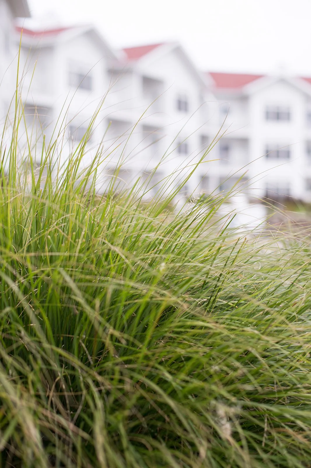 West-Michigan-Resort-Restaurant-Hotel-Brand-Lifestyle-Photography-Julie-Mikos-Midwest-32.jpg