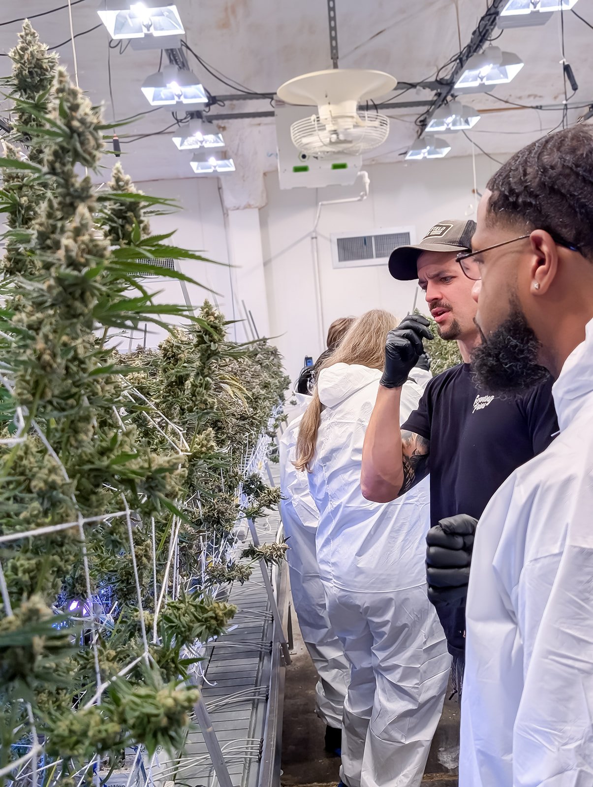 Michigan-Cannabis-Grow-Tour-Photographer-Julie-Mikos-Growing-Pains-Brand-47.jpg