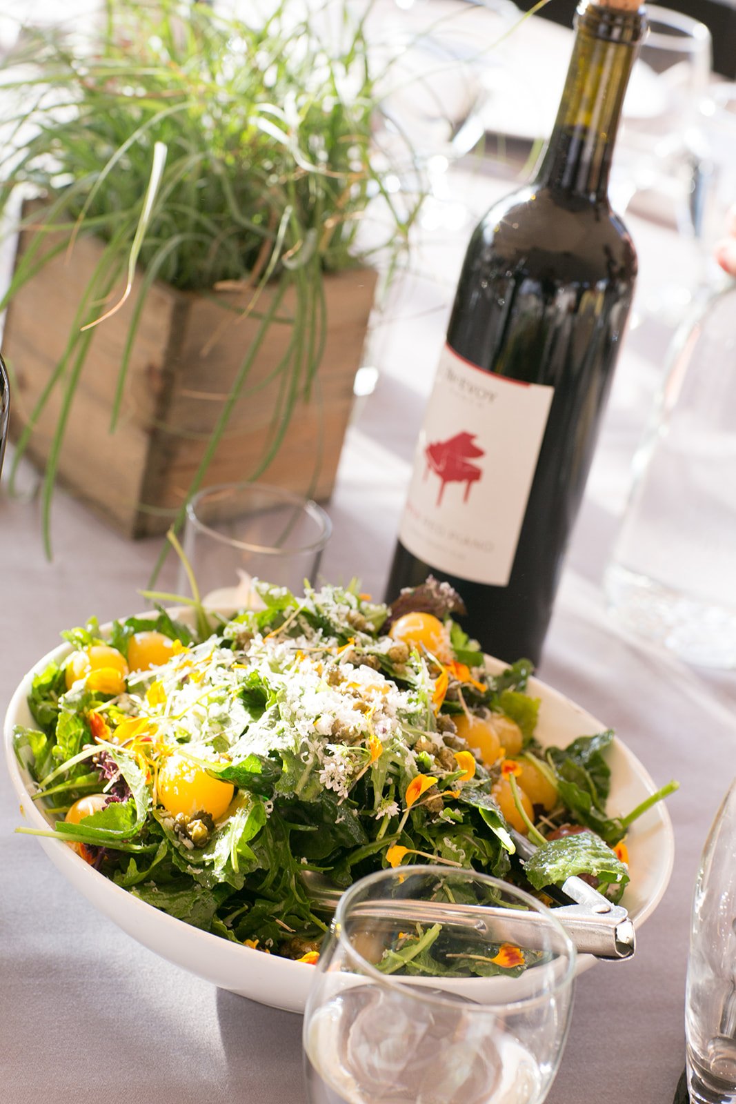  Chicago-Northshore-Non-Profit-Event-Photographer-Julie-Mikos-West-Michigan-49.jpg