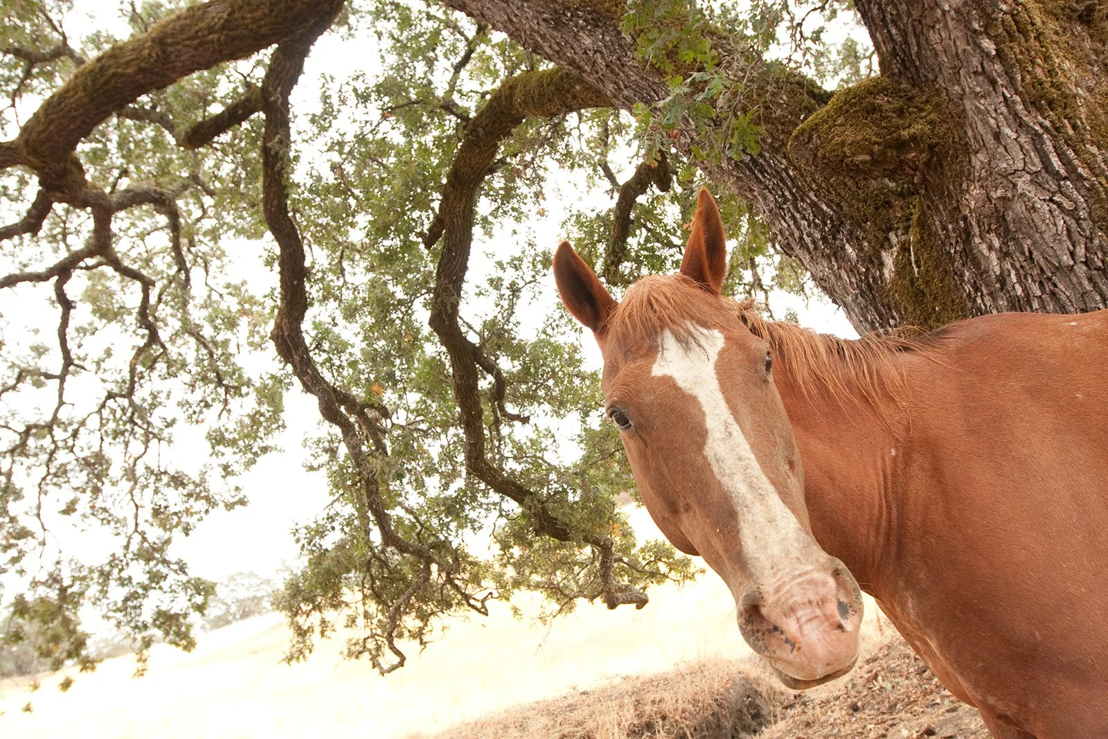 West-Michigan-Winery-Event-Photographer-Julie-Mikos-Tasting-Event-21.jpg