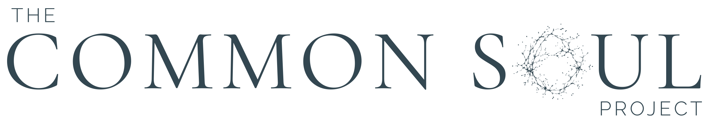 Logo for The Common Soul Project with stylized text and a circular neural network design.