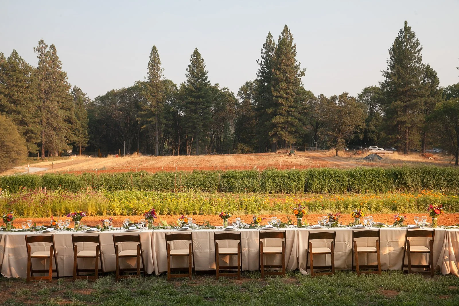 Lifestyle-Farm-to-Table-Event-Photography-Julie-Mikos-Midwest-West-Michigan-200.jpg
