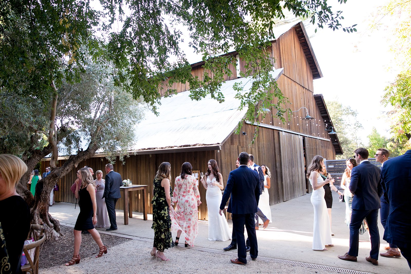 West-Michigan-Wedding-Photographer-Julie-Mikos-Fall-Winery-Wedding-Donut-Truck-126.jpg