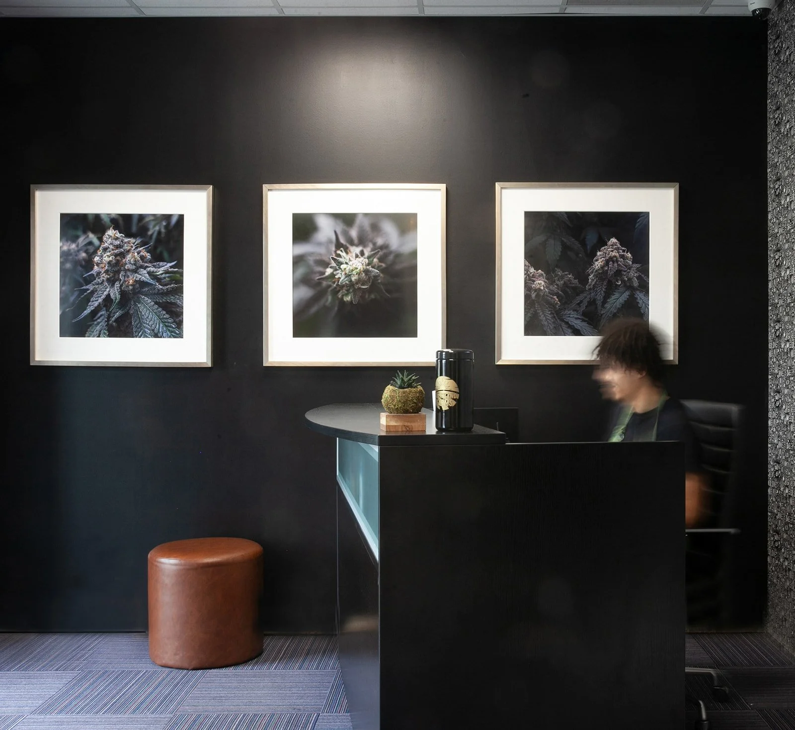 Midwest-Cannabis-Dispensary-Photographer-Julie-Mikos-Michigan-1.jpg