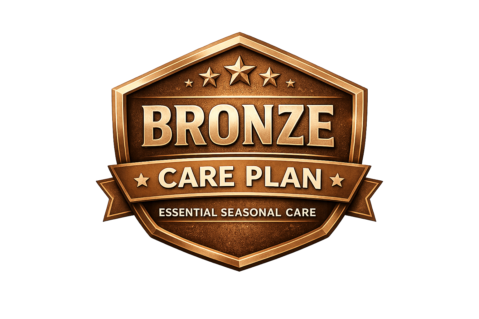 Bronze RV Care Plan
