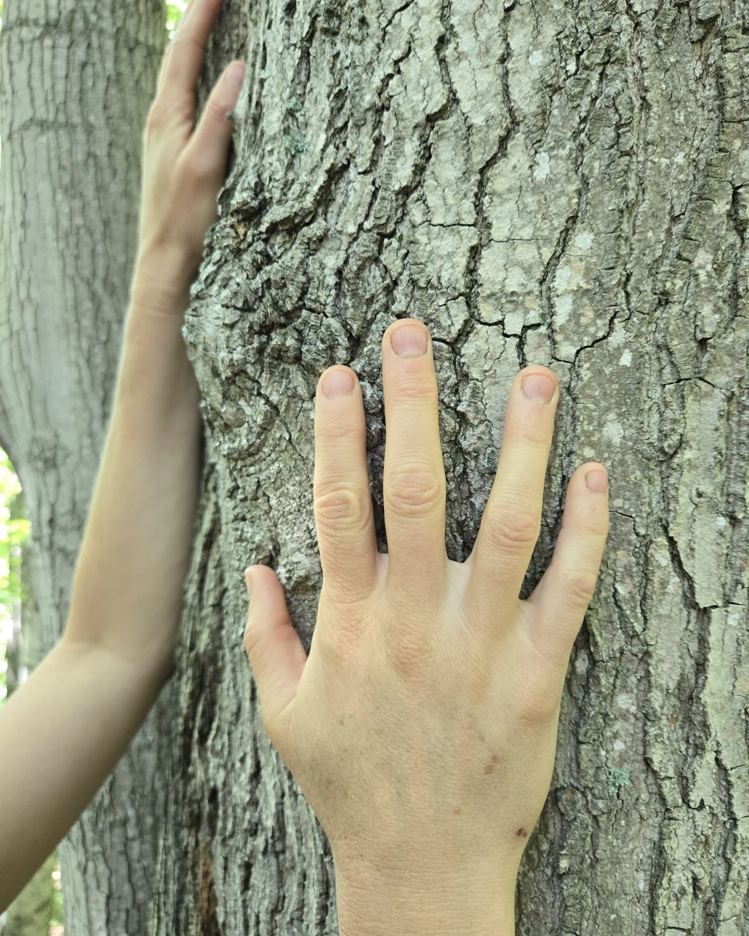 I often think about my hands and what they've been through. How much work they've done over the years.

How STRONG they are. And how SOFT they can be when I'm working on someone's body. 

I am an overgripper...always have been. But when I learned how
