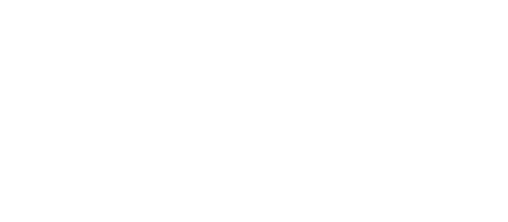 The Ridge at Chestnut Hill