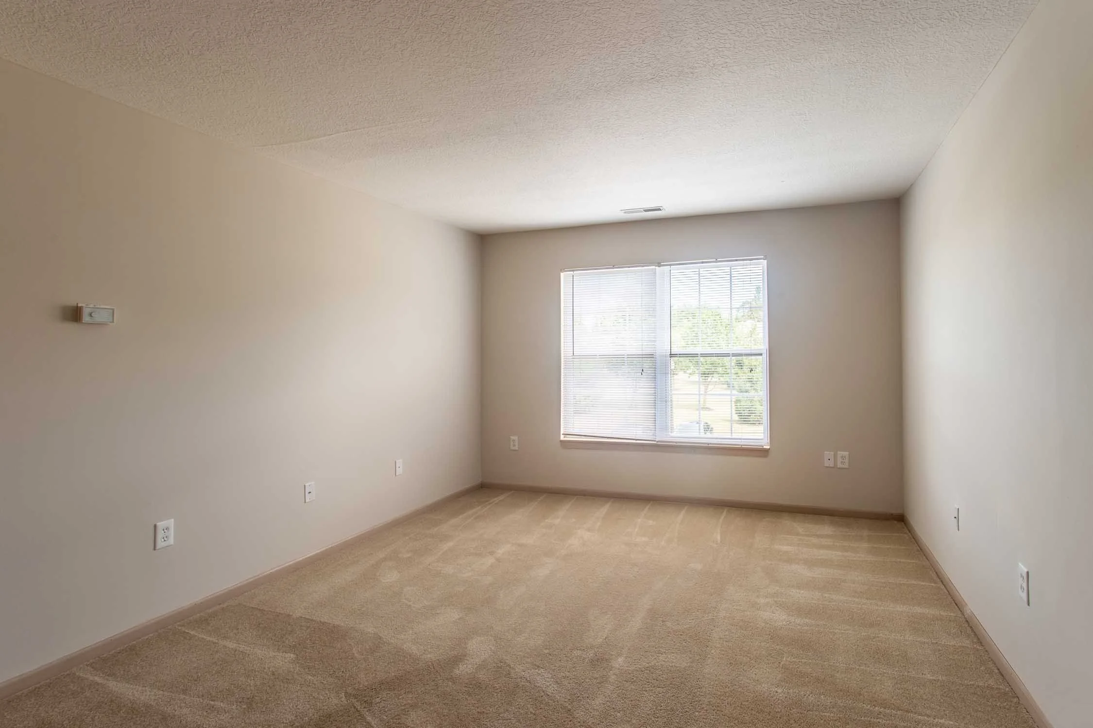Empty room with beige carpet, beige walls, large window with white blinds, and a white textured ceiling.