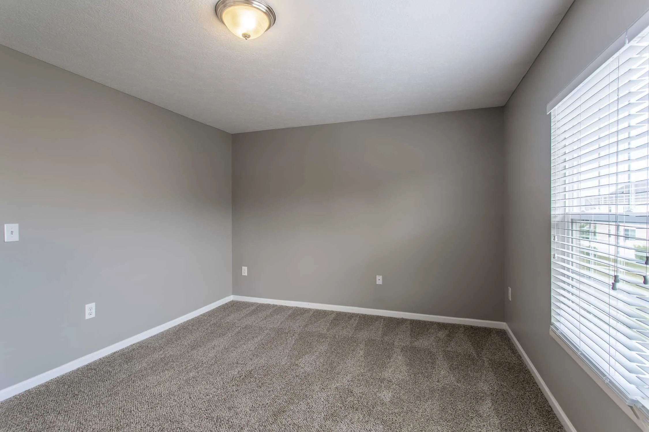 Empty room with gray walls, beige carpet, white baseboards, a ceiling light, and a large window with white blinds.