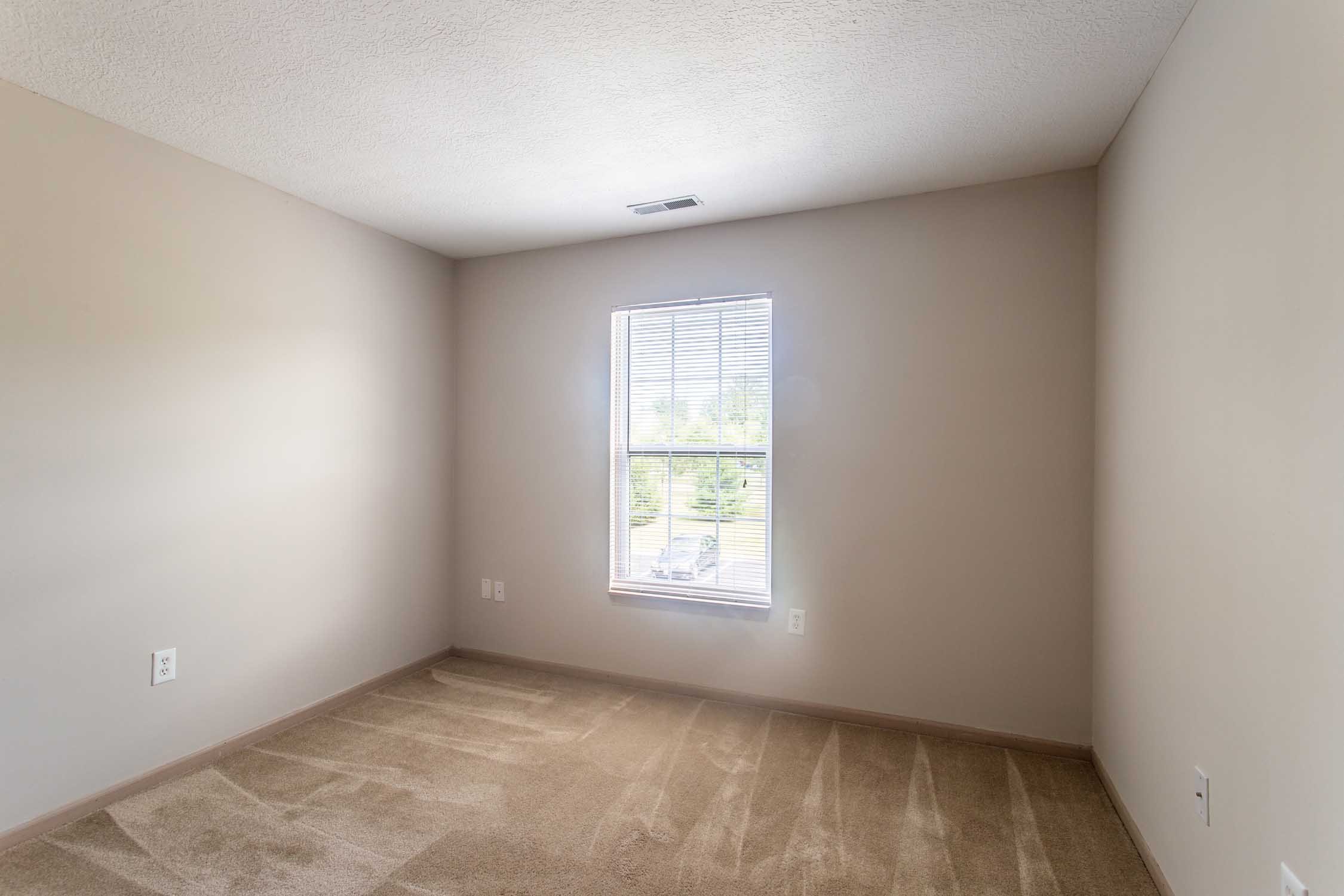 Empty beige carpeted room with a window and electrical outlets.