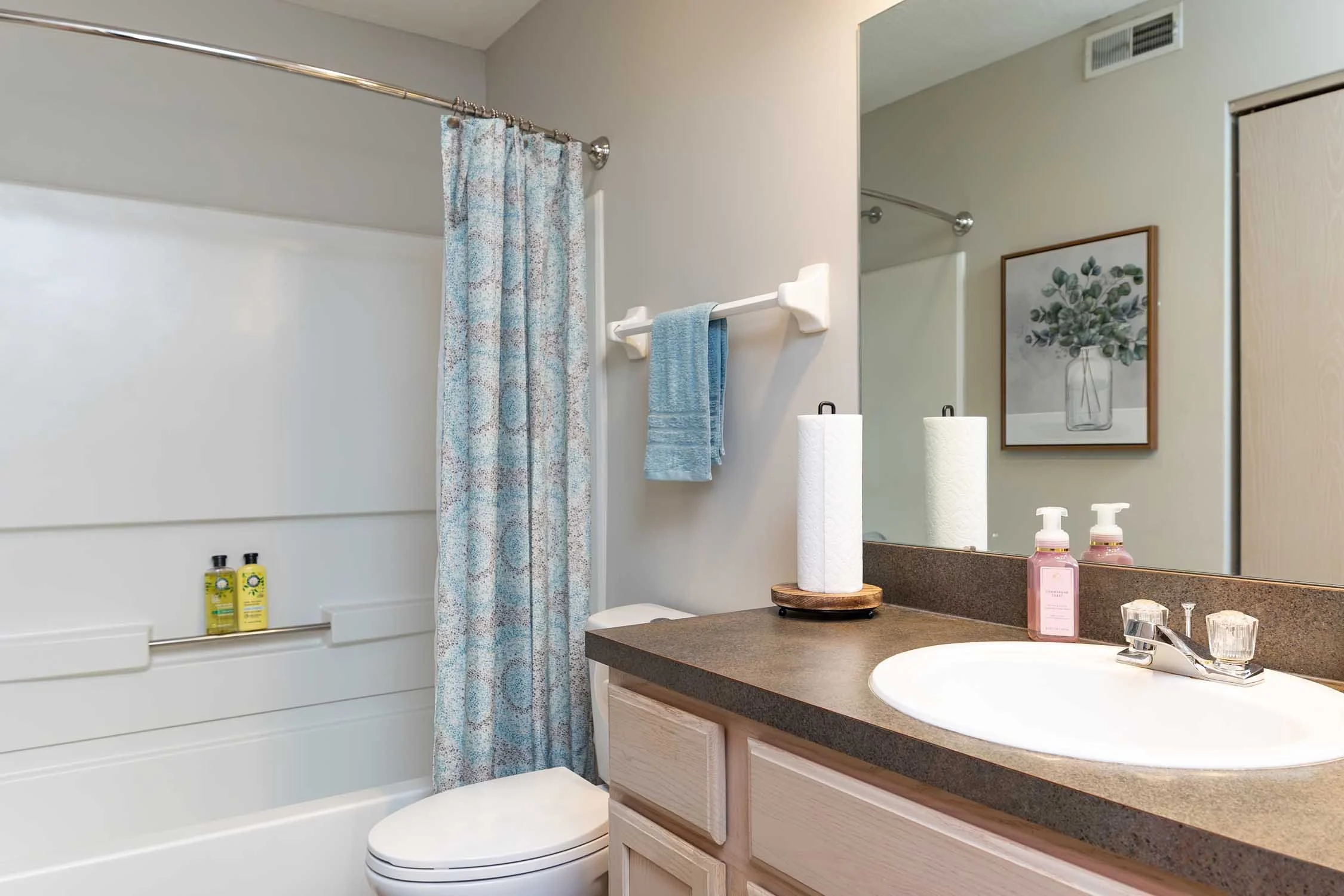 A bathroom features a shower with a colorful patterned curtain, a bathtub, a toilet, and a bathroom vanity with a sink. The vanity has a mirror, two pink soap dispensers, a roll of paper towels, and  two bottles of shampoo or conditioner on a shelf. 