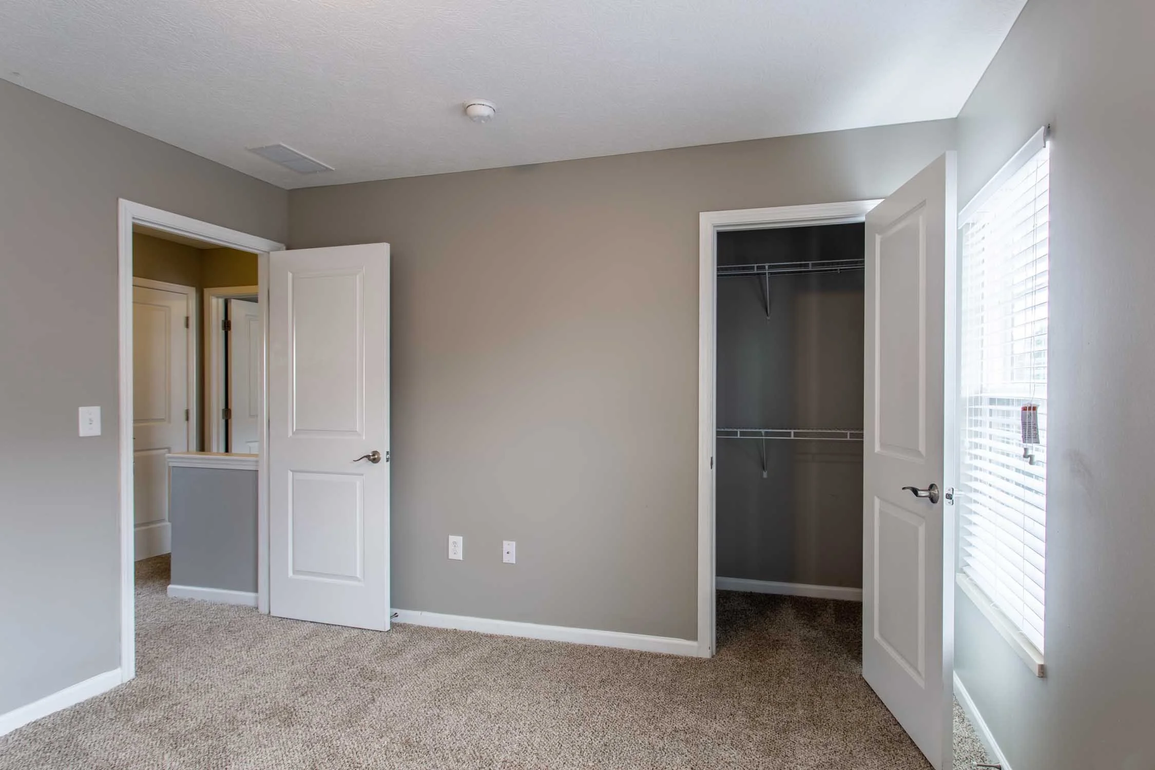 Empty room with two open closet doors, one with a wire shelf, beige carpet, gray walls, a window with blinds, and ceiling vents.