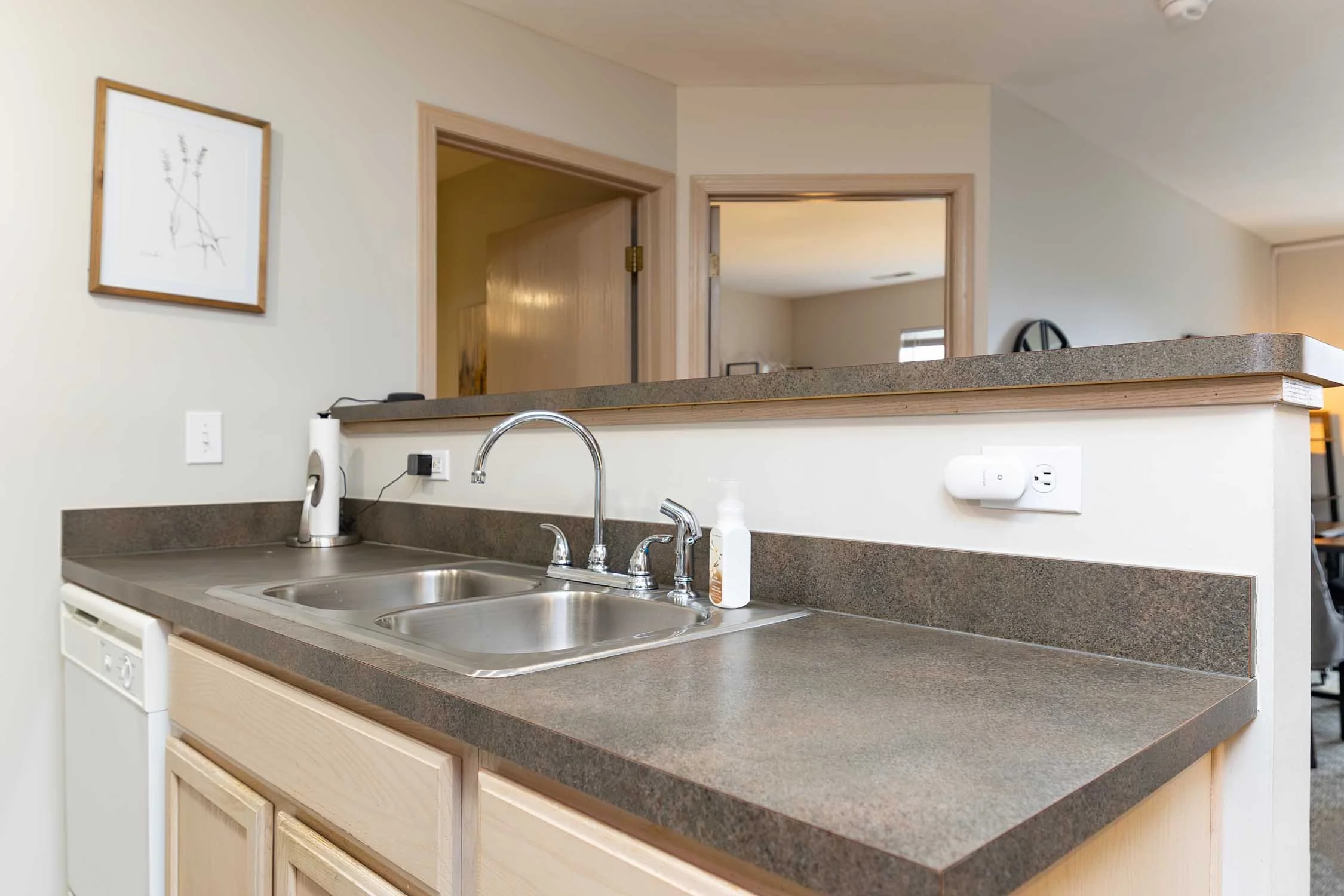Kitchen countertop with a double sink, faucet, soap dispenser, and an electrical outlet with a plugged-in device. In the background, there are open doorways leading to other rooms and a wall with a picture frame.