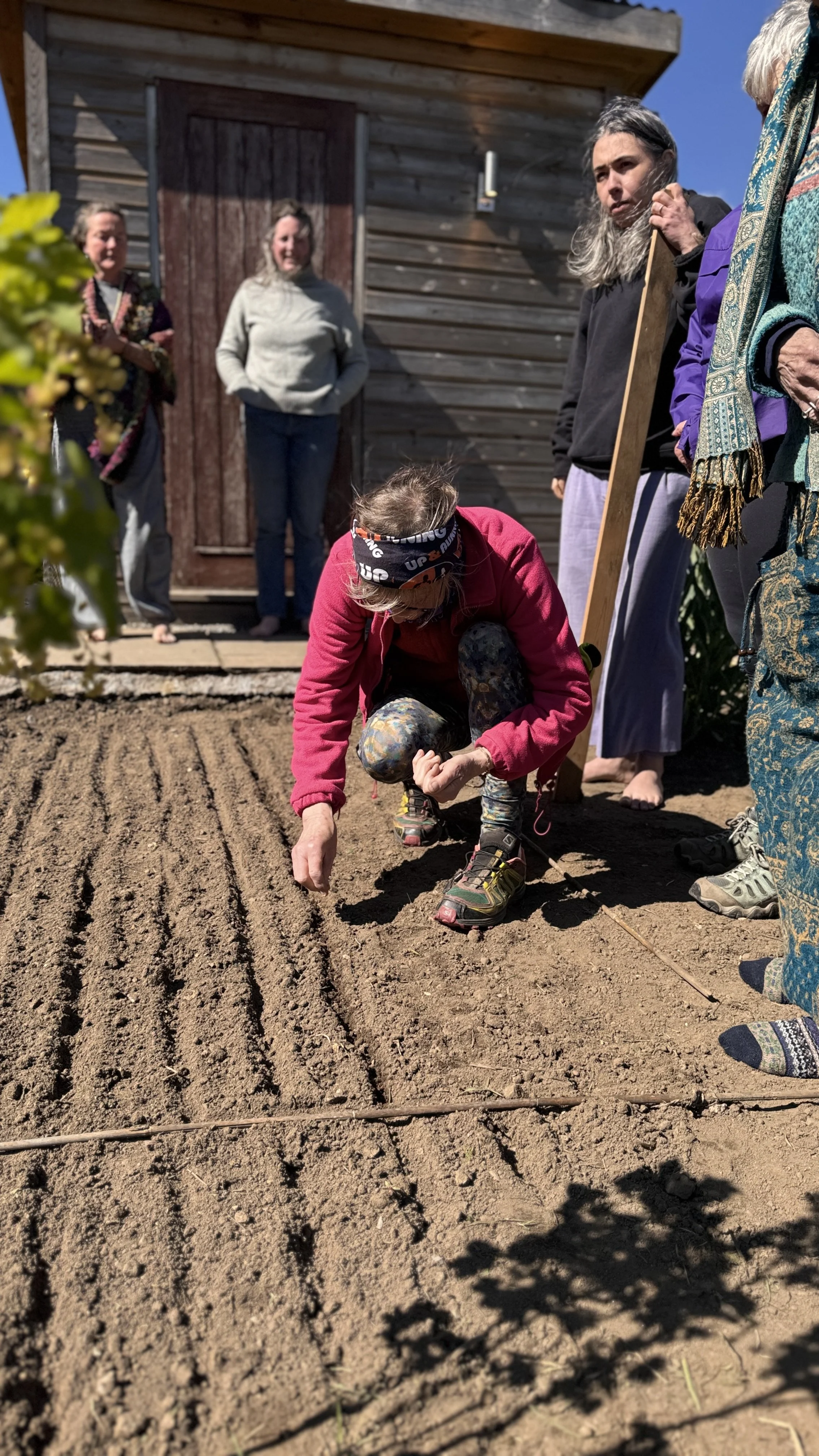 Person crouching and planting seeds in a garden bed with four women standing nearby, outbuilding in the background, clear sunny sky.