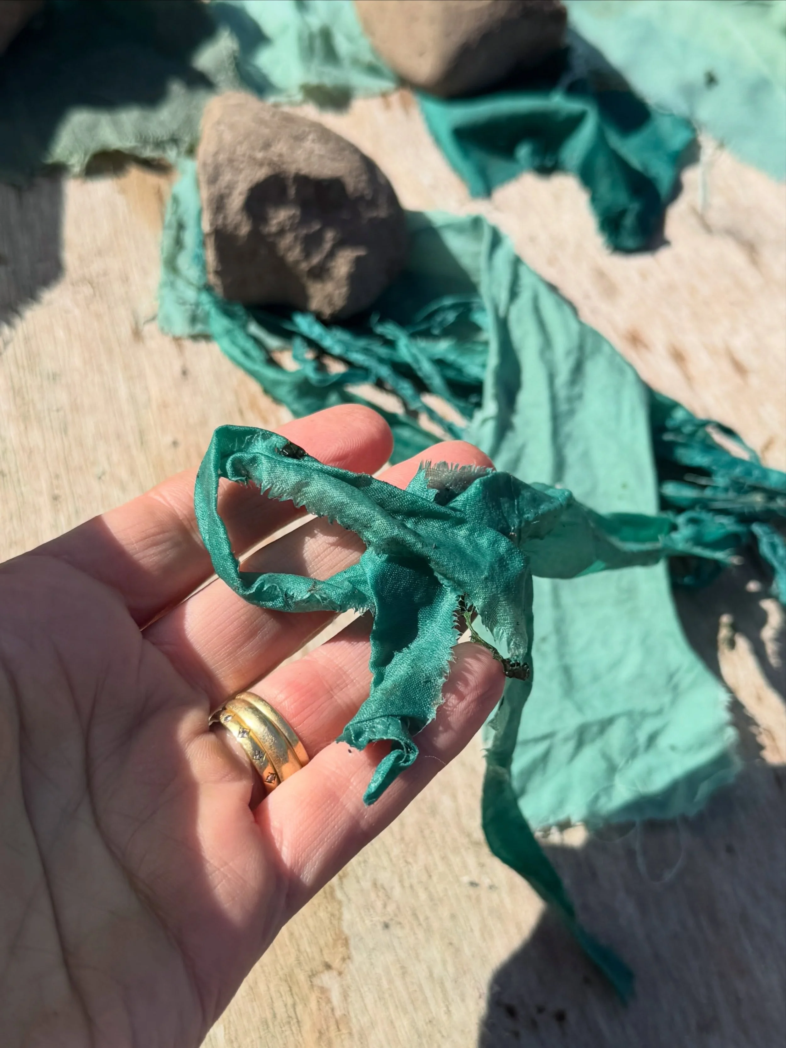 Fresh Leaf Woad &amp; Indigo Craft ~ I ran a craft today for @knaresboroughforestpark volunteers. We picked the woad and indigo and mashed and rubbed the leaves against fabric with a little water and salt to create beautiful green-teal colours. 🩵💙?