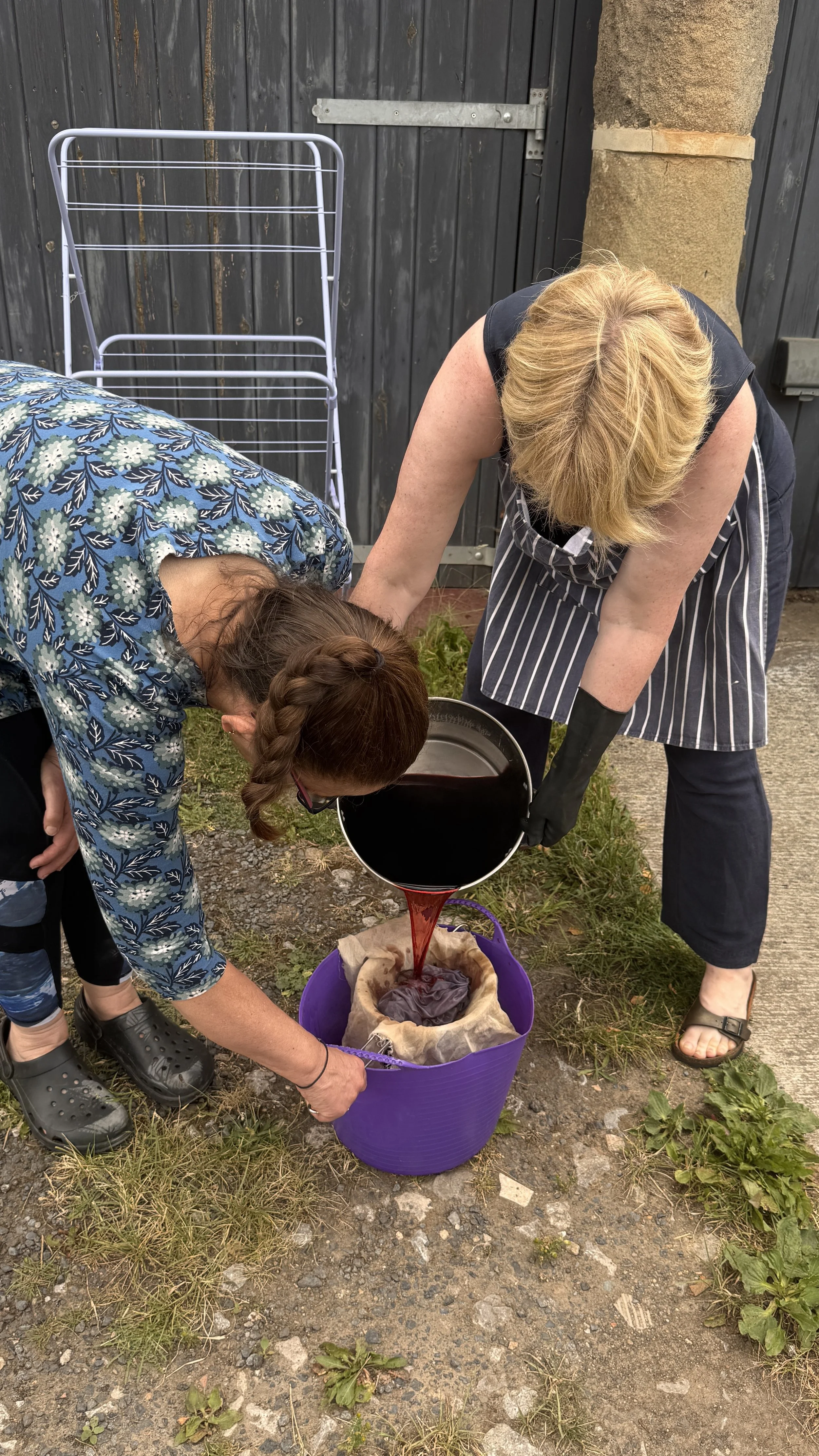 Two women are pouring dark purple dye through a cloth filter into a purple bucket outside, near a black wooden gate and stone wall, surrounded by grass and weeds.