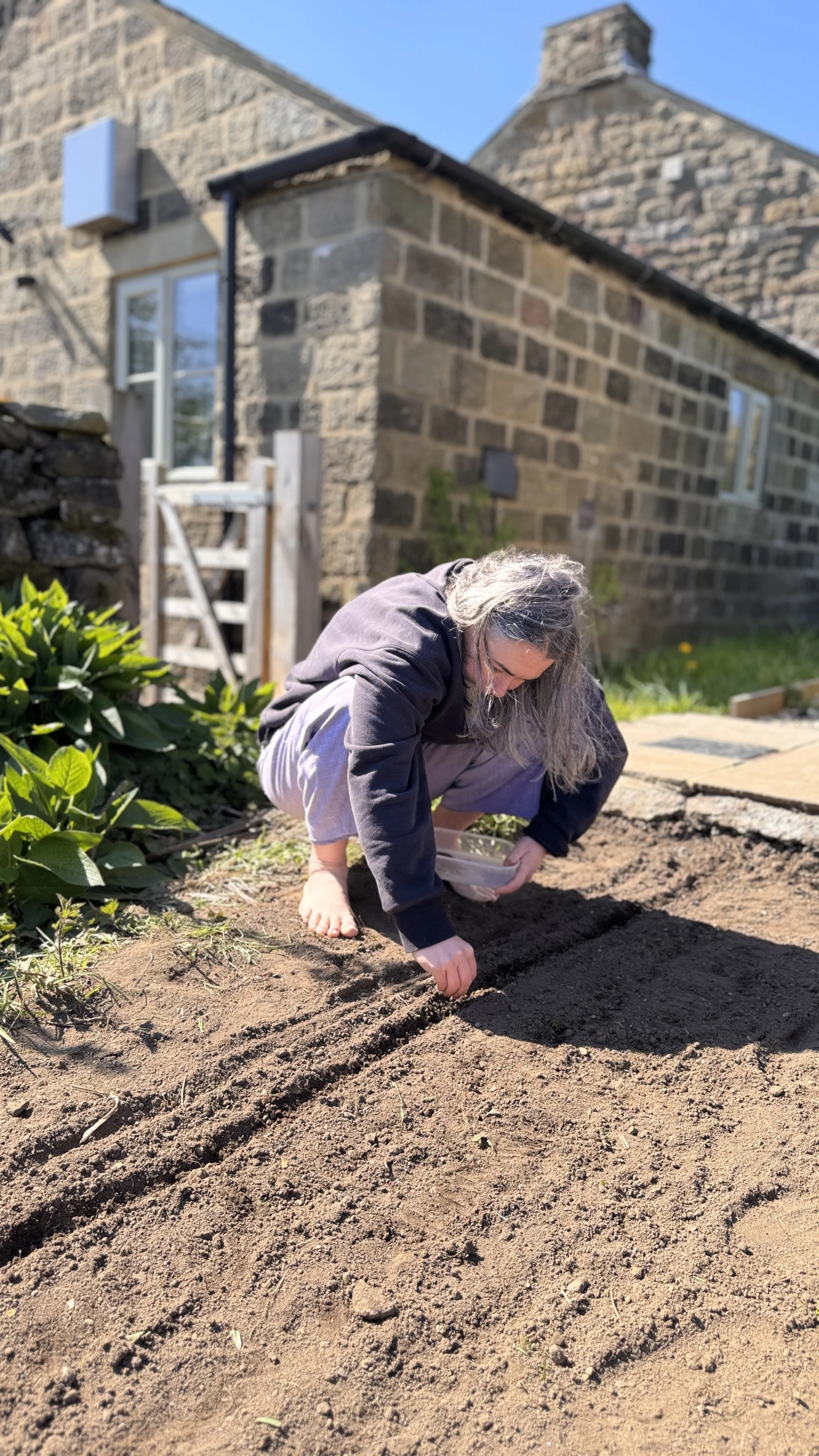 A person with gray hair, wearing a dark jacket and gray pants, is squatting and planting seeds in a garden bed next to a house, with green plants nearby and a clear blue sky above.