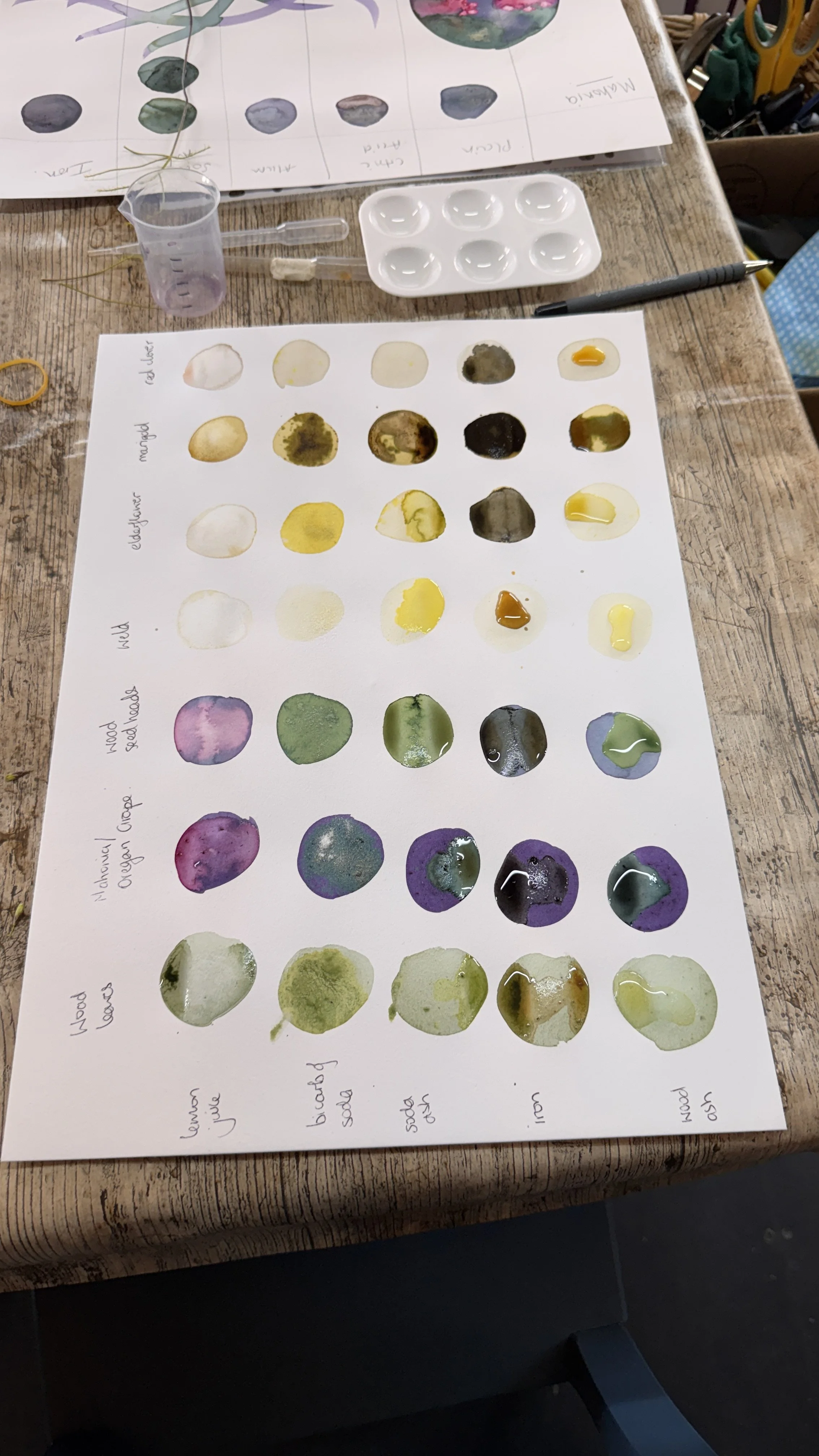 A watercolor palette with various color samples, watercolor paint swatches on a sheet of paper labeled with plant names, and art supplies on a wooden table.