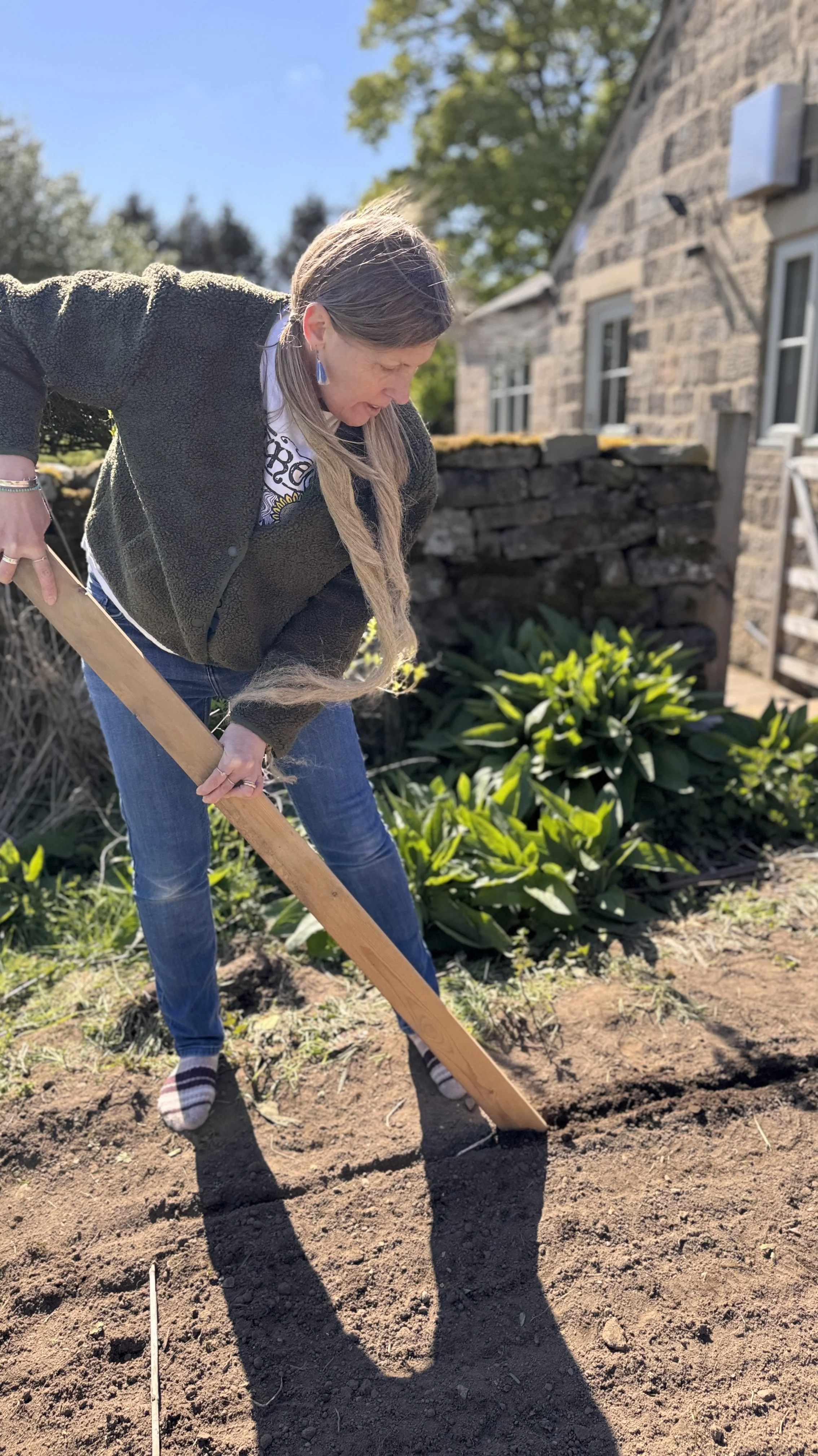 A woman in a black jacket, blue jeans, and striped socks is planting or working in a garden with green plants in front of a stone house on a sunny day.