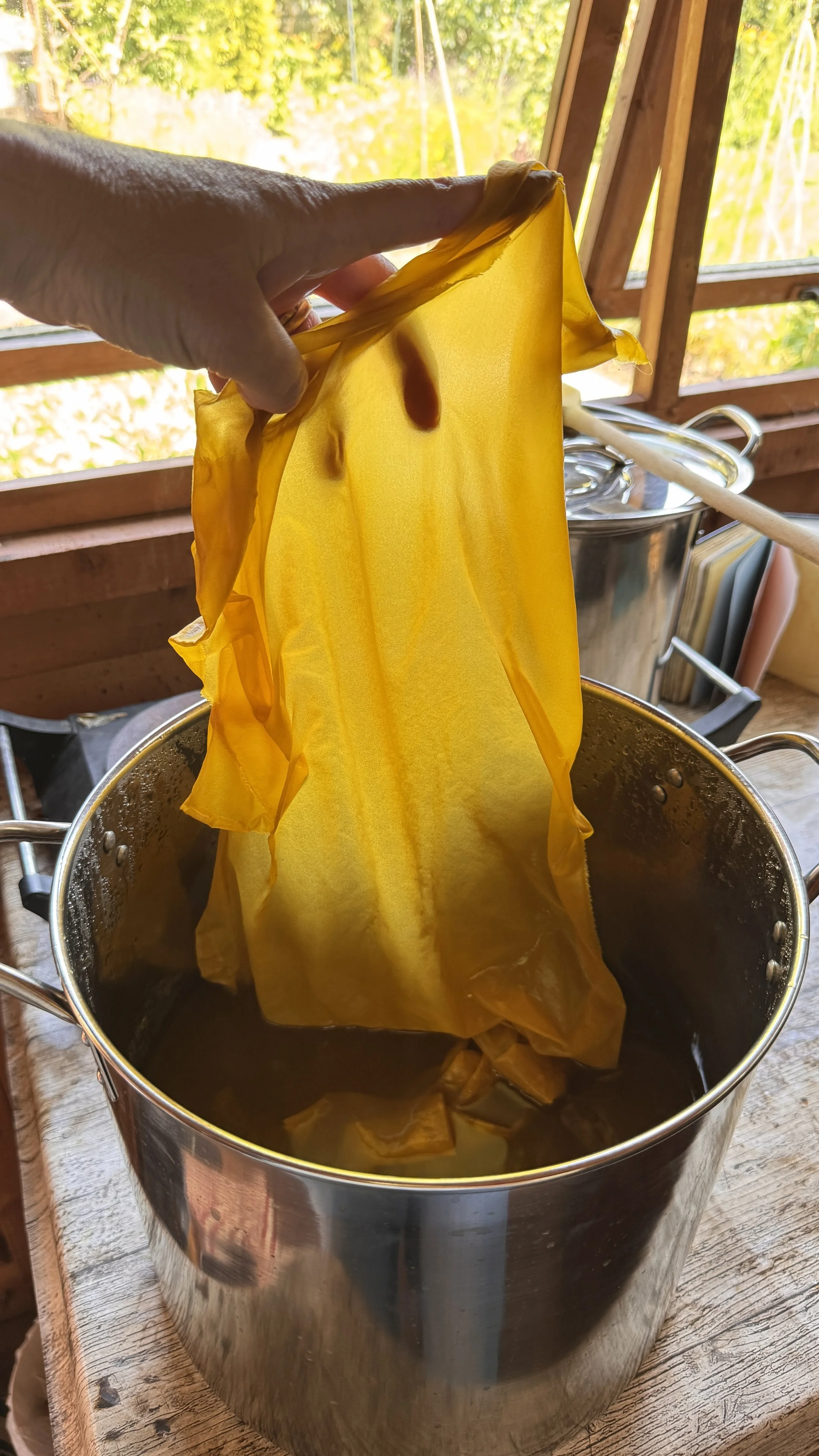 Silk being naturally dyed in buddleia in a dye pot
