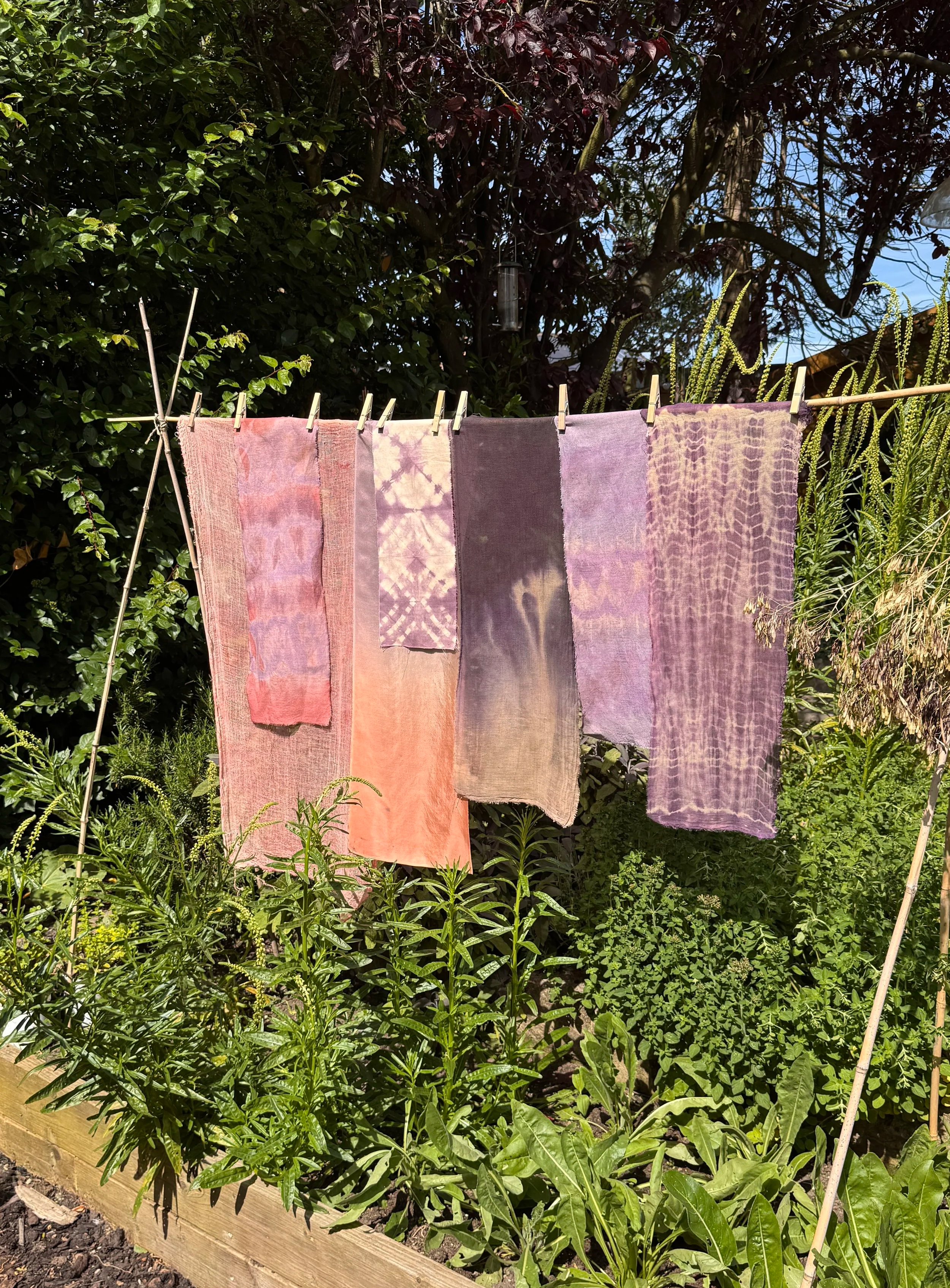 Logwood and madder naturally dyed tide fabric on washing line