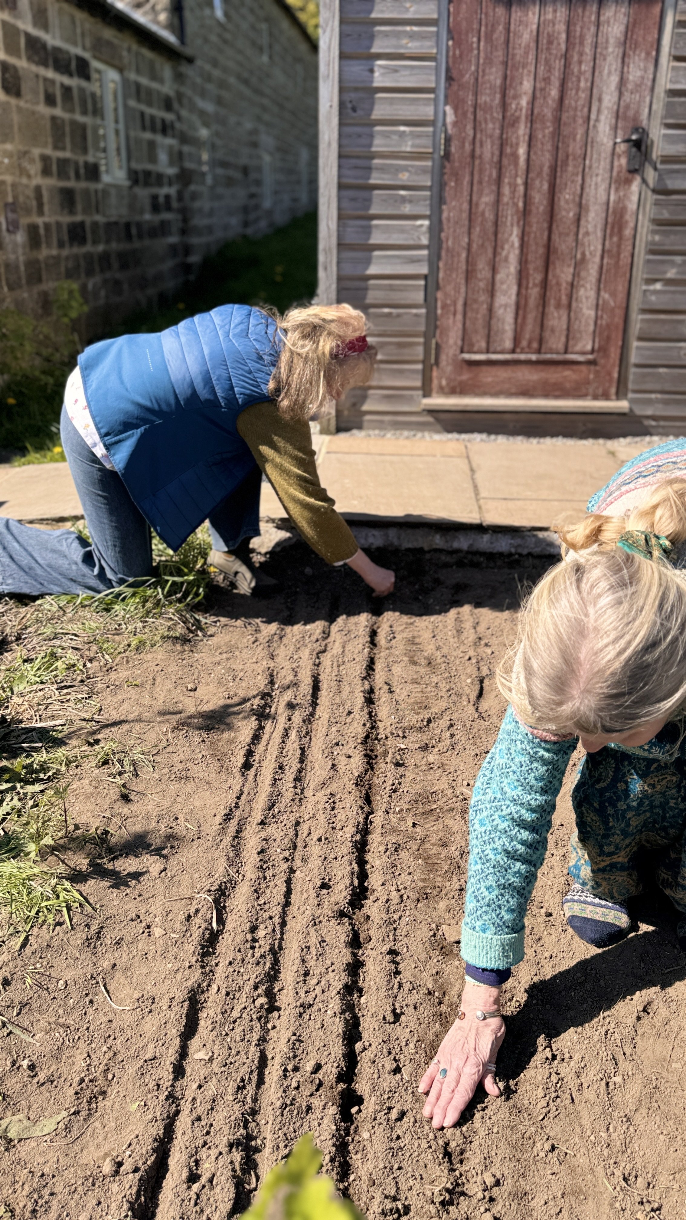 A woman and a girl planting or tending to a garden bed outdoors, with a brick wall and wooden shed in the background.