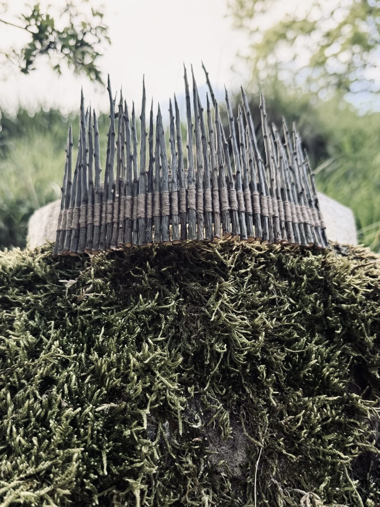Hand crafted crown made from blackthorns and stitched onto birch bark