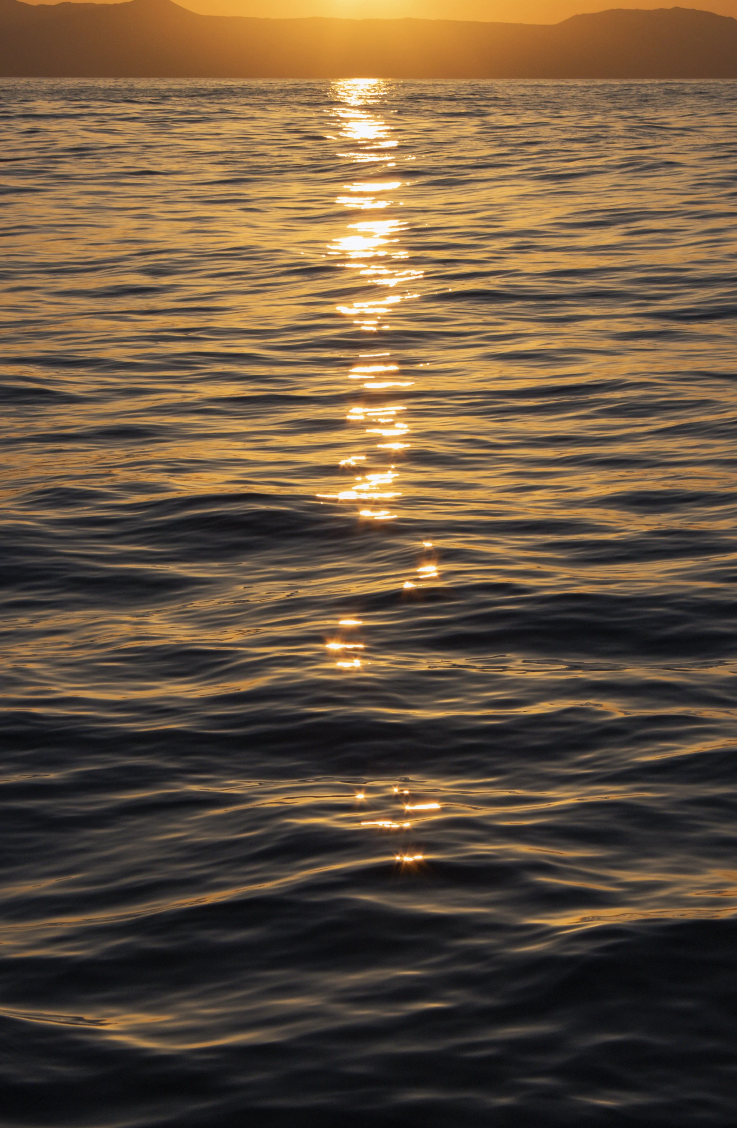 IMG_7883.jpg