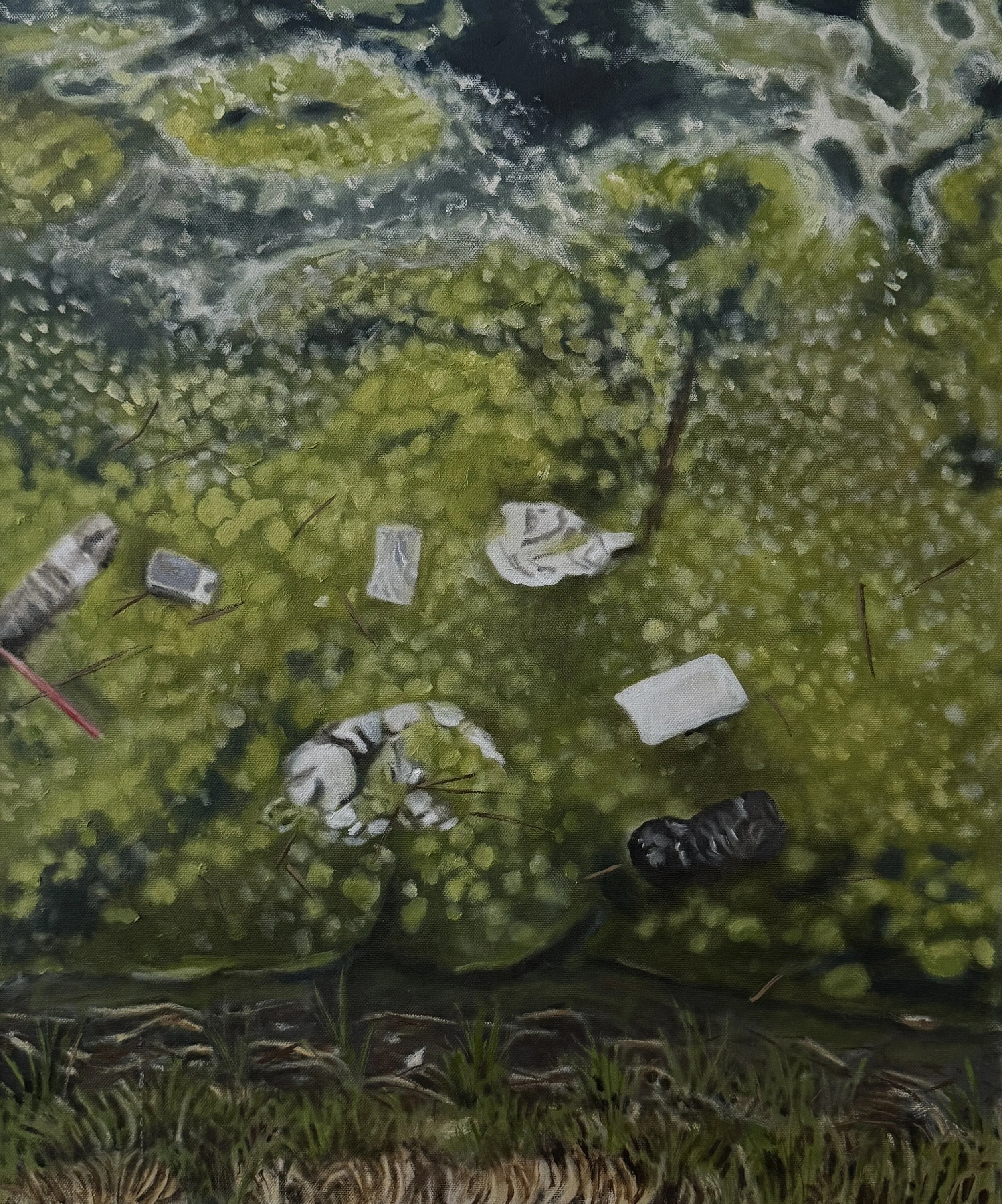 Trash Swamp 2
Oil on canvas
20 × 24"
$800