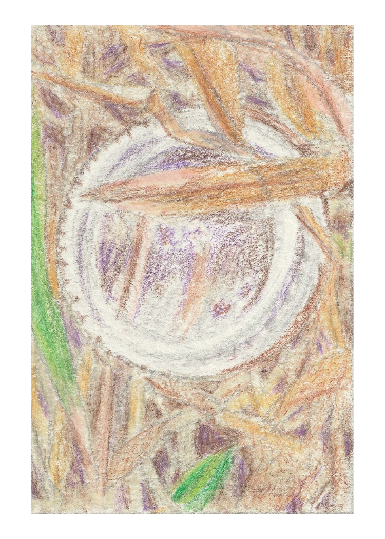 10.png