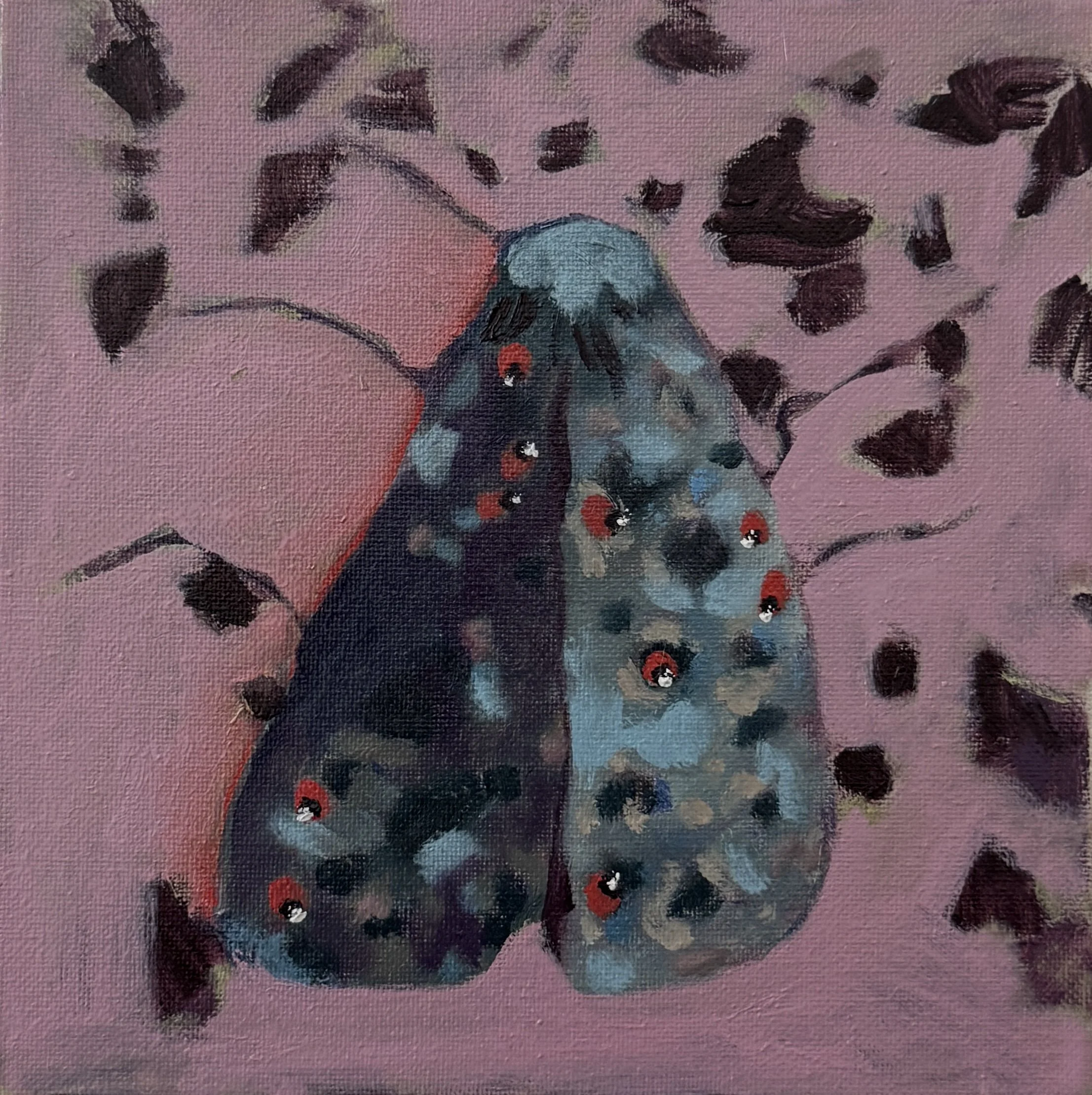 Moth 7
Oil on canvas
8 × 8"
$300