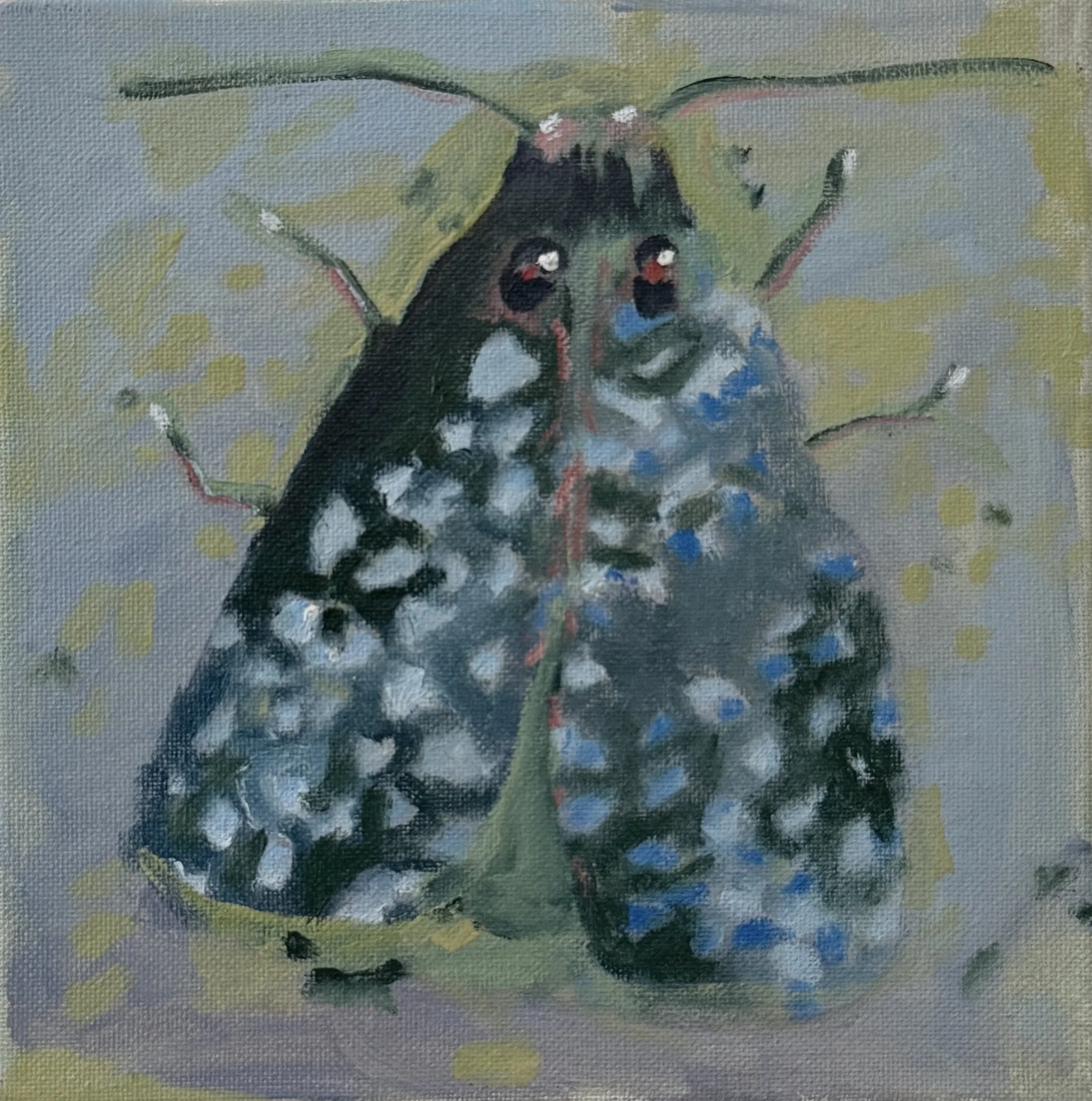 Moth 1
Oil on canvas
8 × 8"
$300